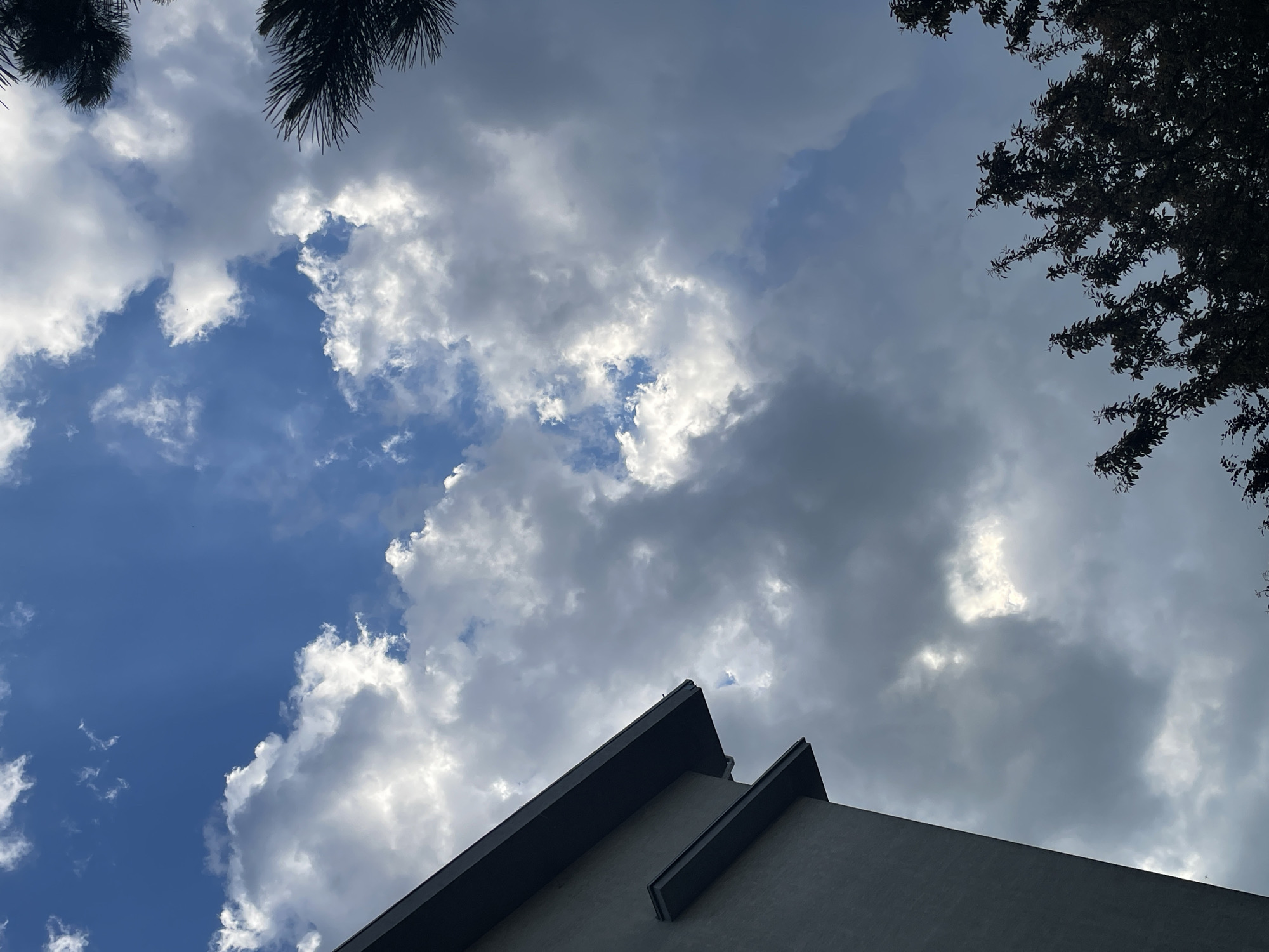 The image is taken from a low angle, looking up towards the sky. The sky is partially covered with white and grey clouds, with patches of blue visible. In the top left and right corners, there are dark silhouettes of tree branches. In the lower portion of the image, the corner of a building is visible, constructed with a grey or white material. The location is Unknown, Unknown. No people or actions are visible.