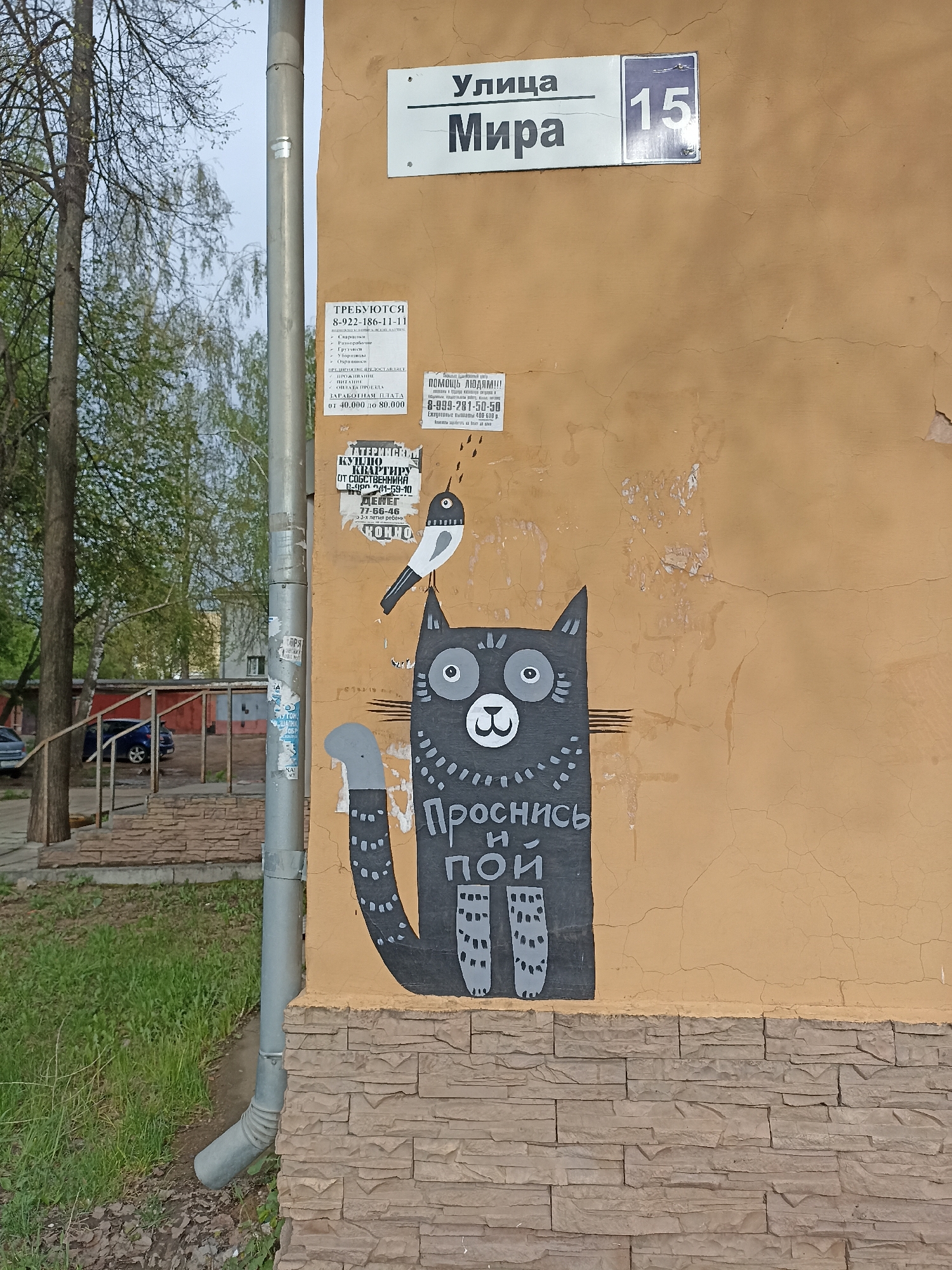 The image depicts a street scene in Votkinsk, Russia. The view is of a building corner with a yellow painted wall adorned with street art and advertising posters. The street sign "Улица Мира 15" (Mira Street 15) is visible at the top of the wall. Below the sign, there is a black painted cat with a bird perched on its head. The cat graphic features white details. The Russian phrase "Проснись и пой" ("Wake up and sing") is painted below the cat in white Cyrillic. Several advertisements are attached to the wall, including one for job openings with a phone number starting with 8-922 and another for financial assistance. The wall is partially covered at the bottom with decorative stone cladding. A metal downspout runs along the corner of the building. Trees and green vegetation can be seen in the background, along with a glimpse of other buildings and parked cars, indicating a residential or mixed-use area.