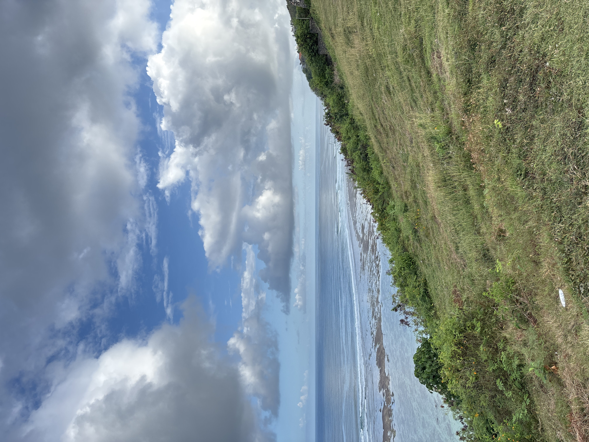 The image captures a coastal scene in Kuta Selatan, Indonesia. A sky filled with cumulus and stratocumulus clouds transitions from partly cloudy with blue sky to heavy, dark gray cloud cover. Below the clouds, a body of water, presumably the ocean, appears. The water has a light blue hue, and visible wave patterns indicate movement. The coastline is defined by a grassy slope with varying tones of green, mixed with shrubs and some low-lying vegetation. The composition is oriented vertically, giving emphasis to the sky and coastline.