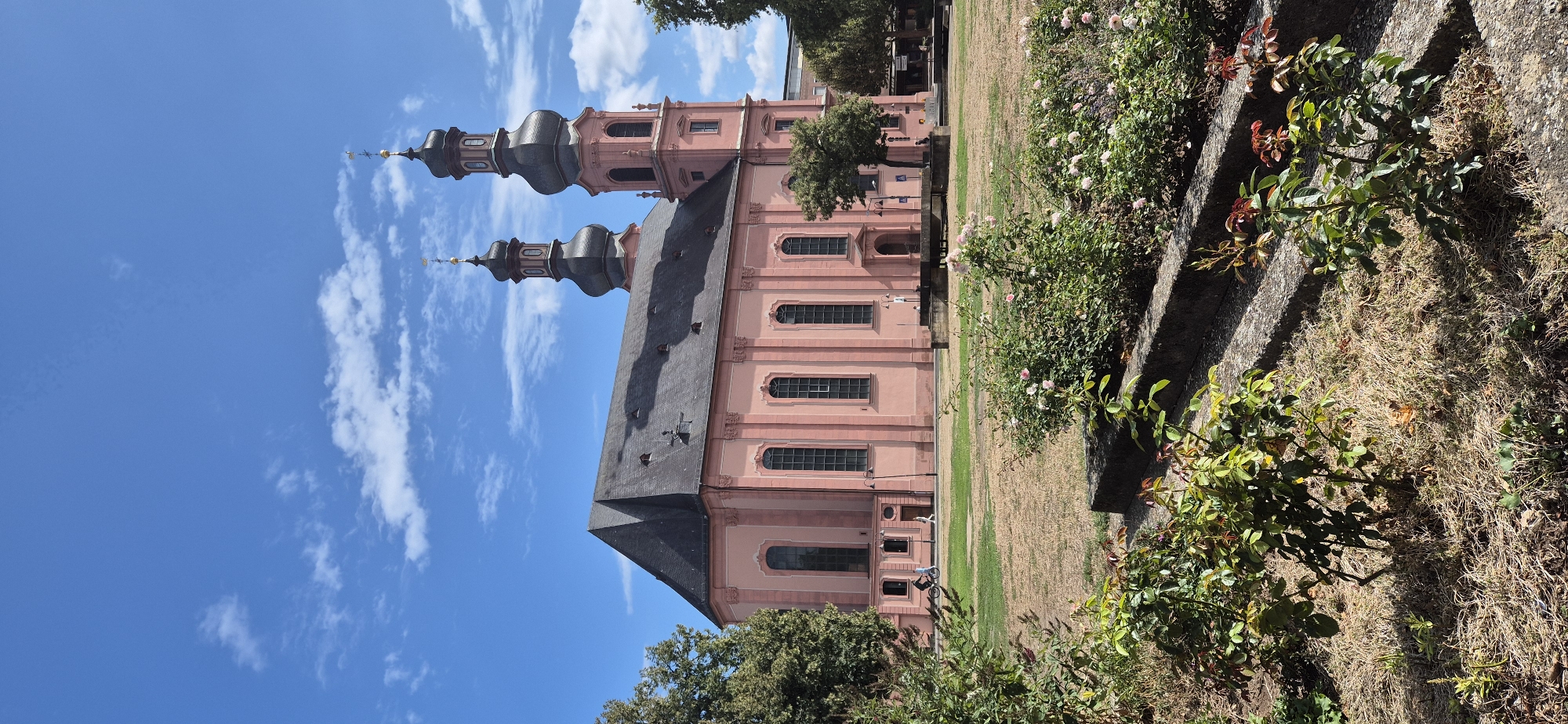 The image depicts the Electoral Palace (Kurfürstliches Schloss) in Mainz, Germany, on a bright, sunny day with scattered white clouds against a vibrant blue sky. The palace, a grand pink baroque building, features two prominent dark-colored bell towers with golden finials. The main body of the palace has a dark slate roof and tall, arched windows.
In the foreground, a manicured garden area is visible, with rose bushes in bloom and dry, yellowish grass. Stone retaining walls or steps are integrated into the garden landscape. Beyond the garden, a pathway runs in front of the palace. A person is seen riding a bicycle on this pathway, and another person is walking away from the palace entrance. Trees are scattered around the palace grounds, with one prominent tree on the right side of the building. The overall scene conveys a sense of historical grandeur and peaceful public space within the city.