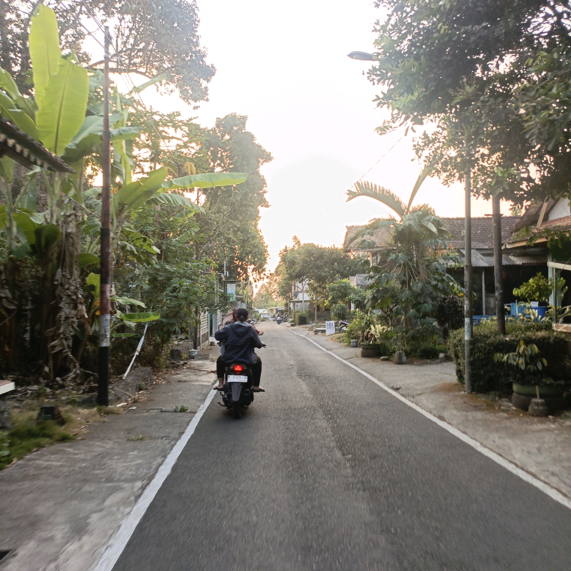 The image depicts a street scene in Salatiga, Indonesia, likely captured during the late afternoon or early morning due to the soft, warm lighting. The perspective is from a moving vehicle, looking forward down a paved road lined with houses and lush vegetation. In the foreground, a motorcycle carrying two individuals is traveling away from the viewer. The person in the back is wearing a dark hooded jacket and black pants, while the person in the front appears to be wearing a dark jacket and head covering. The motorcycle has a license plate that reads "H 6125 JK".
The road is asphalt with a white painted line on the left edge. The left side of the road features a concrete walkway, a utility pole with black and red bands, and dense foliage including banana trees. The right side of the road also has houses with tiled roofs, overgrown gardens with potted plants, and more trees. A street light is visible on a pole in the upper right quadrant of the image. In the distance, the road curves slightly and other motorcycles can be seen. The sky is bright and slightly hazy, suggesting either sunrise or sunset.
