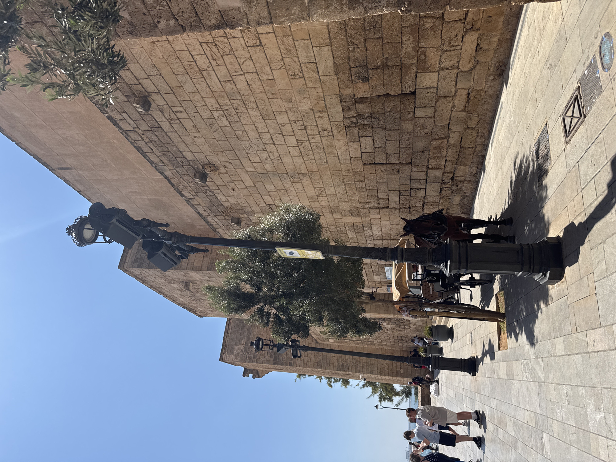 The image depicts a street scene in Palma de Mallorca, Spain, likely near the Palma Cathedral or Almudaina Palace, given the historic stone architecture. In the foreground, a horse-drawn carriage is parked. A brown horse is harnessed to the carriage, facing left. Several people are visible on the sidewalk to the left, some of whom appear to be tourists. They are dressed in casual summer attire. The street is paved with light-colored stones. On the right side of the image, a tall, weathered stone wall forms the backdrop. A vintage-style street lamp with multiple lights stands prominently in the foreground, casting a shadow on the paved ground. An olive tree with sparse foliage is situated between the carriage and the stone wall. The sky is clear and blue.