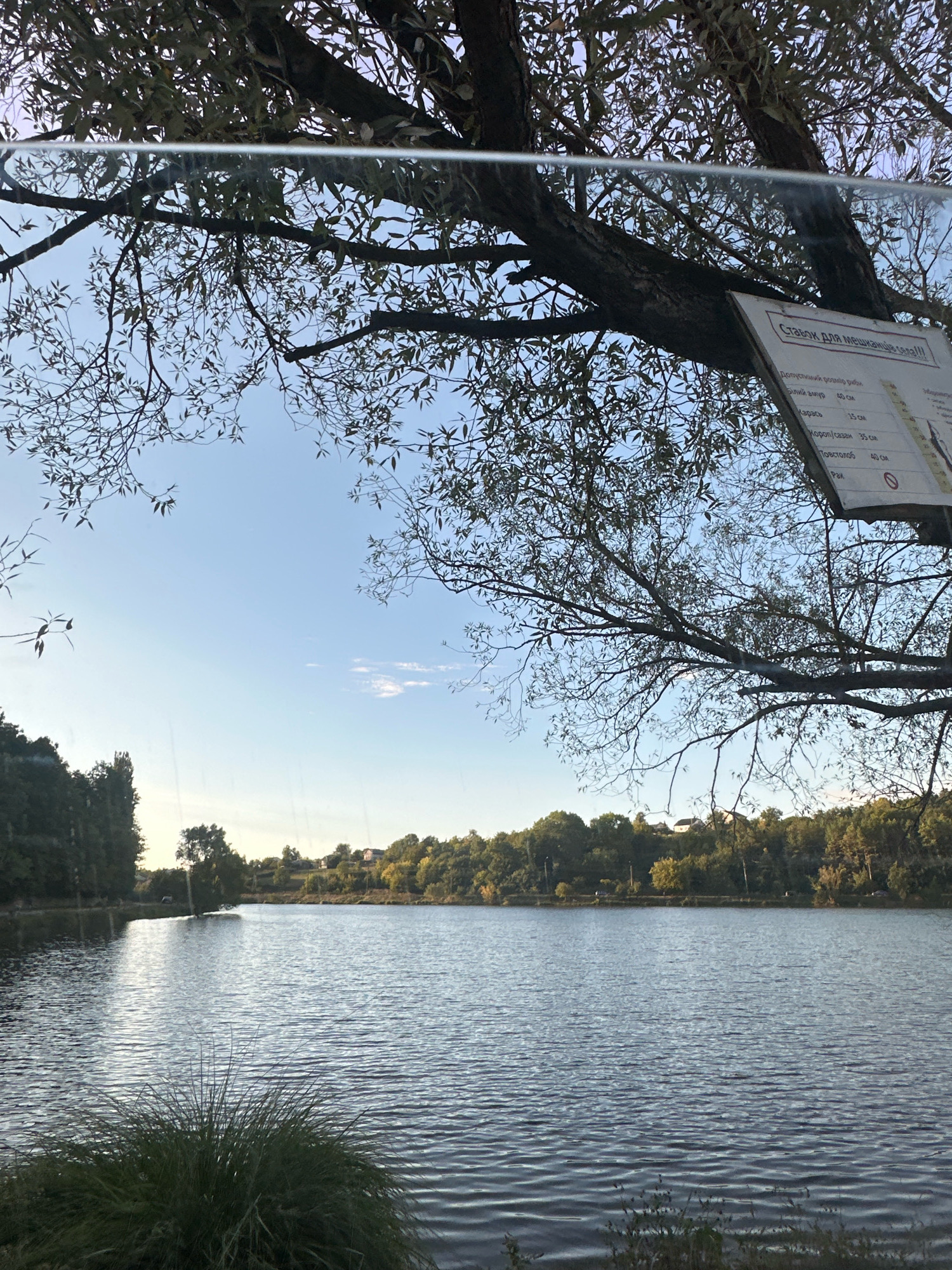 The image depicts a tranquil lakeside scene, likely in or near the city of Makiv, Ukraine. The foreground is dominated by a body of calm water, reflecting the clear blue sky. Lush green trees line the far bank of the lake, with a few houses visible nestled amongst them on a gentle incline. In the upper right portion of the frame, a sign hangs from a tree branch. Though partially obscured by leaves, the sign appears to be informational, possibly related to fishing regulations, with text in Cyrillic script. The overall atmosphere is serene and natural, suggesting a peaceful outdoor setting. There are no people visible in the image.