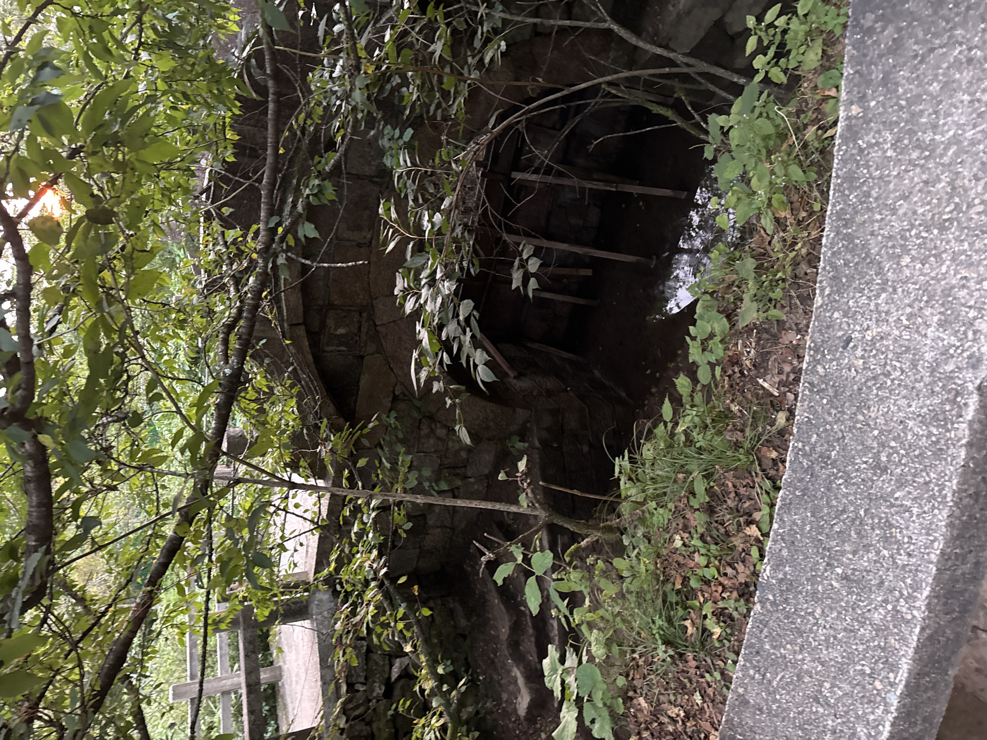 The image depicts a stone bridge arching over a narrow, dark water channel. The bridge is constructed from rough-hewn stones and appears aged. Overgrown vegetation, including leafy branches and trees, obscures much of the bridge and the surrounding area, with sunlight filtering through the leaves in some parts. A wooden railing and walkway are visible to the left of the bridge, suggesting a park or scenic area. The ground beneath and around the arch is littered with leaves and dirt, and the water channel is murky. Wooden supports are present within the archway, possibly to reinforce the structure or manage water flow. The scene is set within a natural, verdant environment, likely in a rural or park-like setting within Huangshan District, China, given the context. There are no people or animals visible in the image.