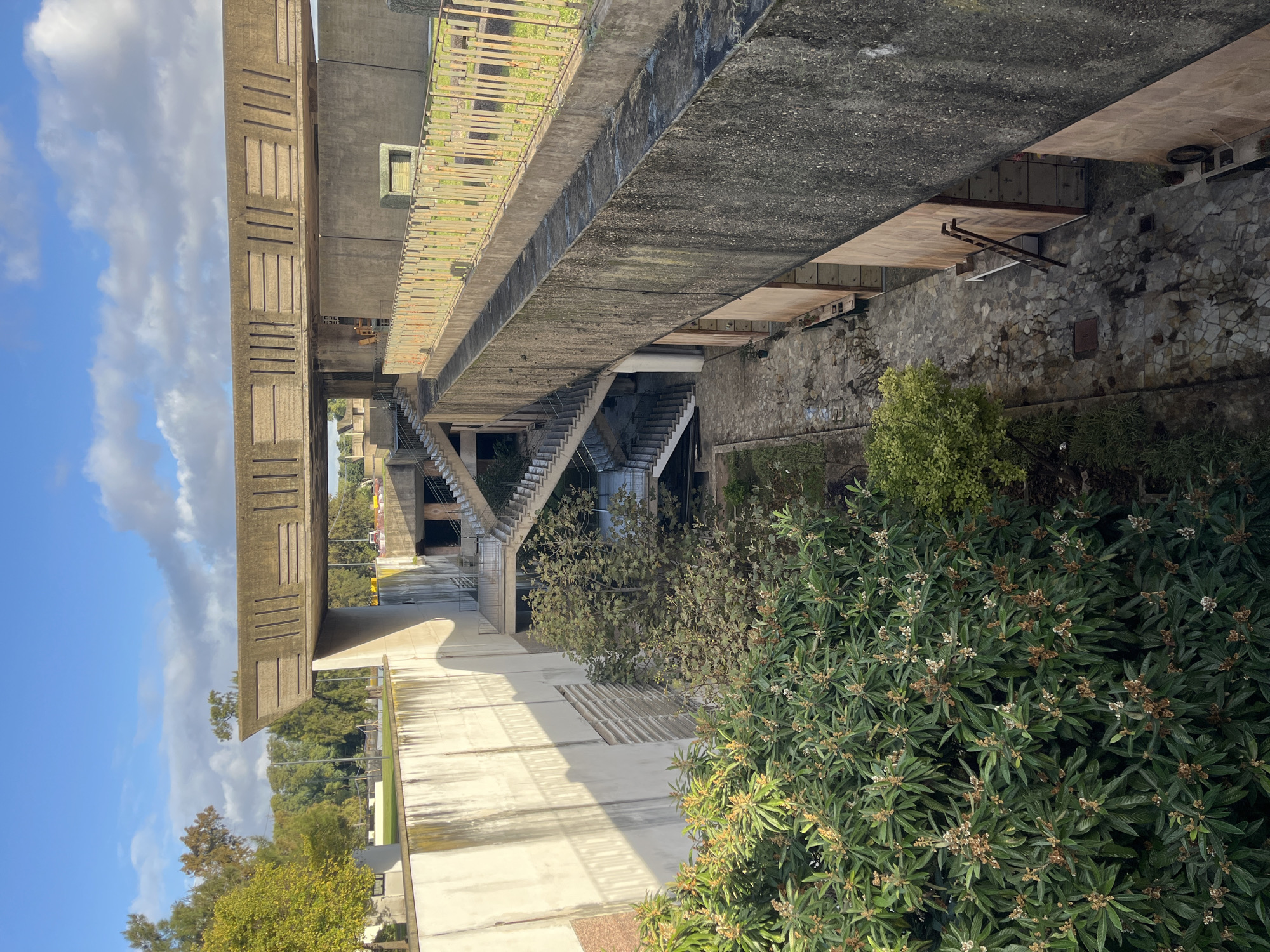 The photograph depicts an exterior view of a brutalist architectural structure. The building is composed of concrete, with exposed beams and walkways. Multiple staircases are visible, leading to different levels of the structure. Vegetation, including trees and bushes, are growing around and within the building. The structure appears to be abandoned or in a state of disrepair. It is located in Buenos Aires, Argentina.