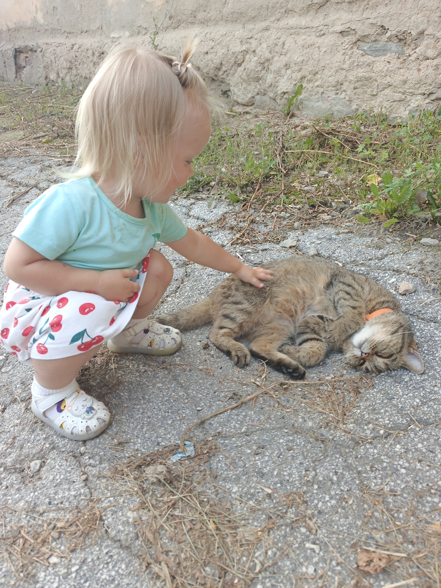 A young Caucasian child with blonde hair is crouching down and petting a sleeping tabby cat. The child is wearing a light blue t-shirt and a white skirt with red cherry print. The cat is lying on its side on an asphalt surface, and appears to be wearing an orange collar. The background shows a rough concrete wall and some dry grass. This scene likely took place outdoors in a residential area of Zlatoust, Russia.