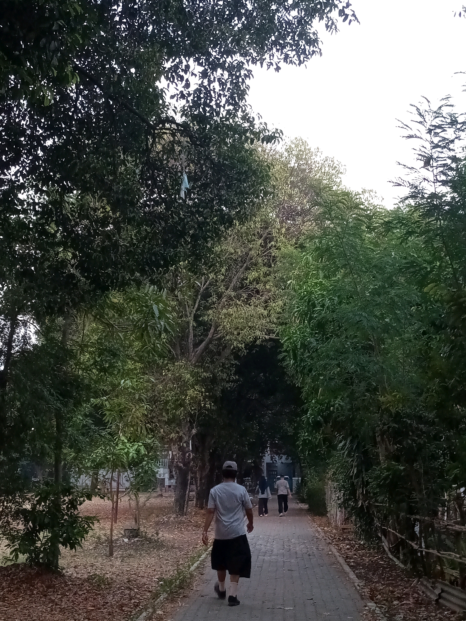 The image depicts a walkway lined with trees in what appears to be a park or residential area in Bekasi, Indonesia. In the foreground, a man wearing a grey t-shirt, black shorts, and a baseball cap walks away from the camera on a brick-paved path. Further down the path, two individuals, one in a white hijab and the other in a white shirt and dark pants, are also walking away. The path is bordered by dense foliage on both sides, with fallen leaves scattered on the ground. The environment suggests a slightly overcast day, with the sky appearing bright white and washing out details in the background. The presence of some structures in the distance suggests a built-up area, possibly a housing complex or public facility.