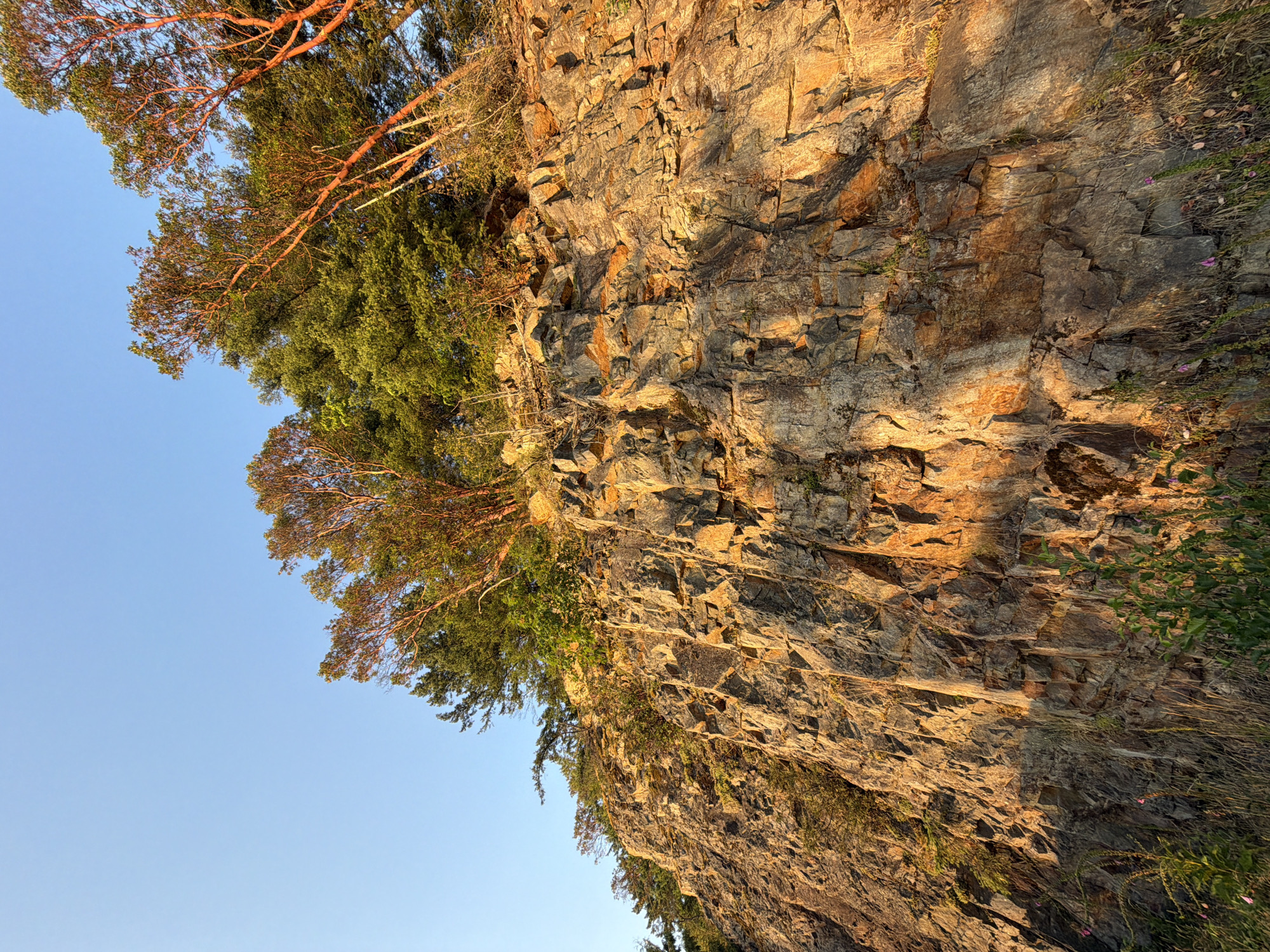The image shows a steep, rocky cliff face in Elaho/Garibaldi, Area D, Canada. The cliff is made up of large, irregularly shaped rocks with visible strata and cracks. Vegetation, including trees and dry grasses, grows at the top and along the base of the cliff. The sun is shining, casting warm, golden light on the rock face and highlighting its textures. The sky above is a clear, pale blue. The perspective is looking up at the cliff from below, emphasizing its height and ruggedness.