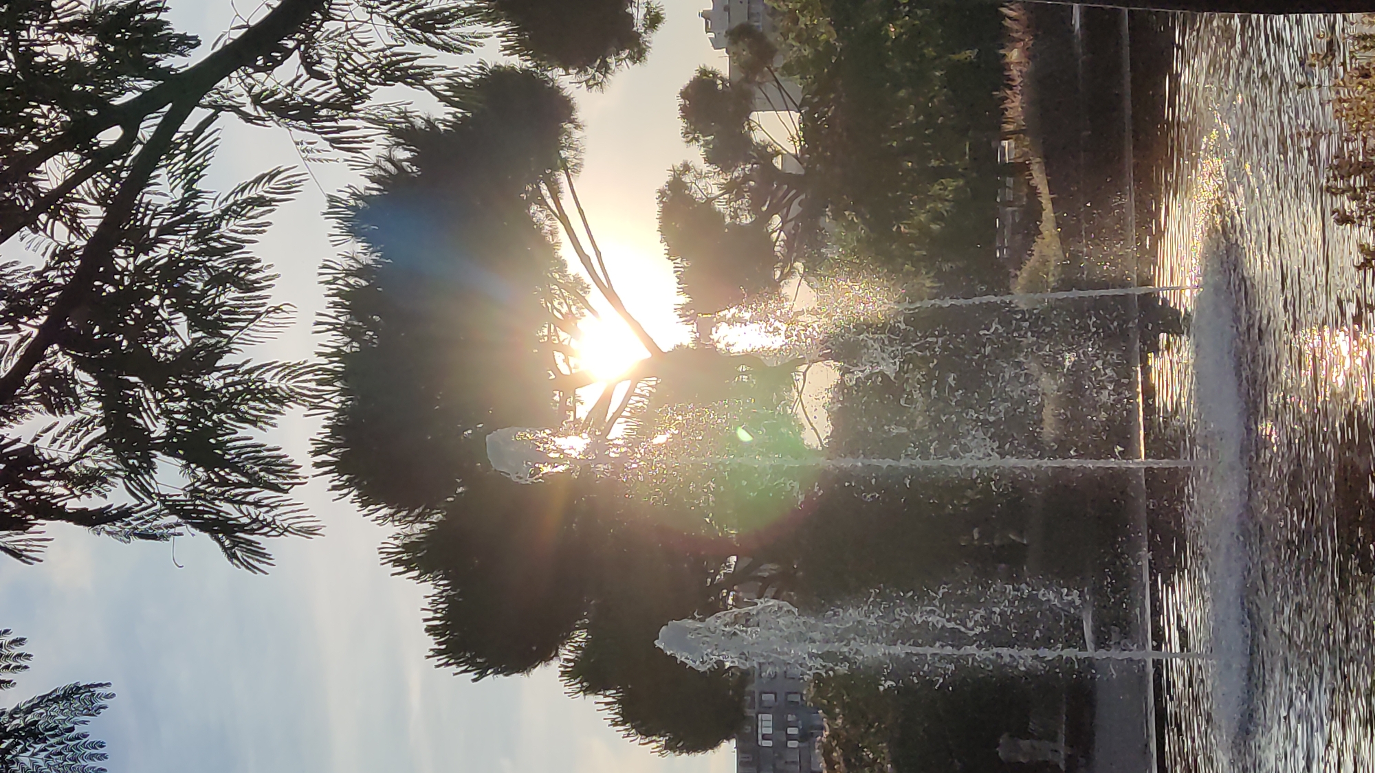 In an urban park at sunset, a fountain sprays water into a pond reflecting the golden sunlight. The sunbeams pierce through the branches of a large pine tree, creating a lens flare effect. In the background, apartment buildings and lush green trees are visible. The scene conveys a peaceful, natural ambiance within a city setting.