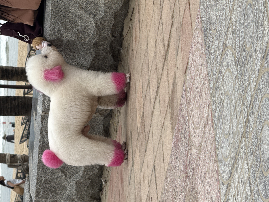 A white poodle-type dog with sections of its fur dyed bright pink on its ears, tail, and all four lower legs stands in profile on a paved surface in An Hải Ward, Vietnam. The dog is positioned to the left of a large, grey stone barrier, with its head turned right, sniffing a small, light-brown, doll-like keychain hanging from a dark brown bag or article of clothing held by a partially visible individual on the far right. The paved walkway beneath the dog features various shades of brown, red, and grey rectangular and square tiles, with patterned circular designs visible in the lower foreground. In the background, beyond the stone barrier, a sandy beach extends to the ocean, where gentle waves are visible. Two other individuals are present on the beach: one person walks left in a white top and dark bottoms, while another sits under a dark shelter. Palm tree trunks, beach loungers, and a red and white striped pole are also discernible on the sand.