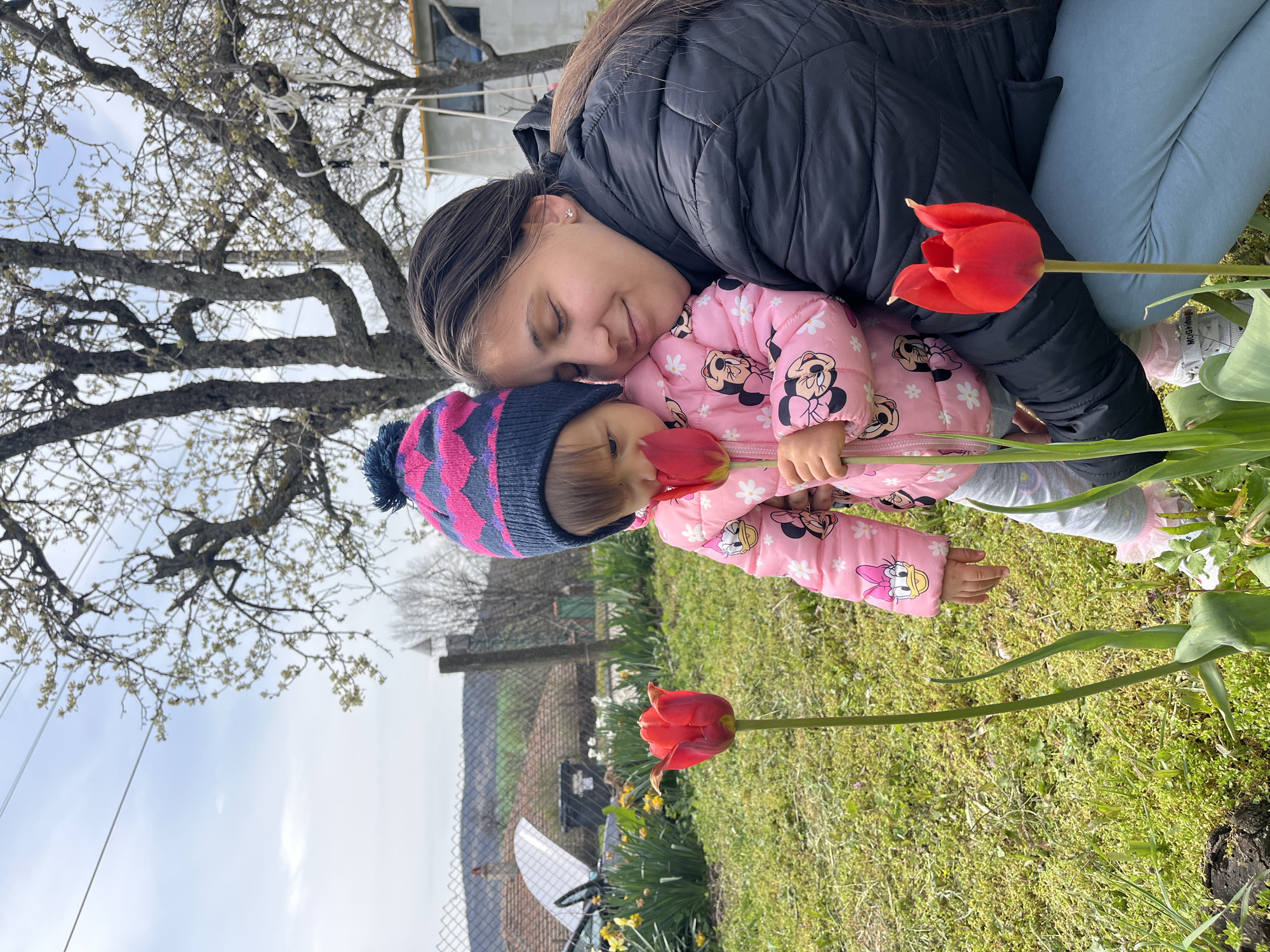 A tilted medium shot of a woman and a baby outdoors. The woman, wearing a black puffer jacket and light blue pants, is leaning her head against the baby's head. The baby, wearing a pink Minnie Mouse patterned jacket and a blue and pink striped hat, holds a red tulip. Two other red tulips are visible in the foreground. The background includes a tree, a fence, and what appears to be a residential area, placing the scene in an outdoor location. The setting is most likely in a garden in the city of Kosten, Bulgaria. The image depicts a tender moment between the woman and the baby, possibly a mother and her child, amidst the backdrop of spring flowers.
