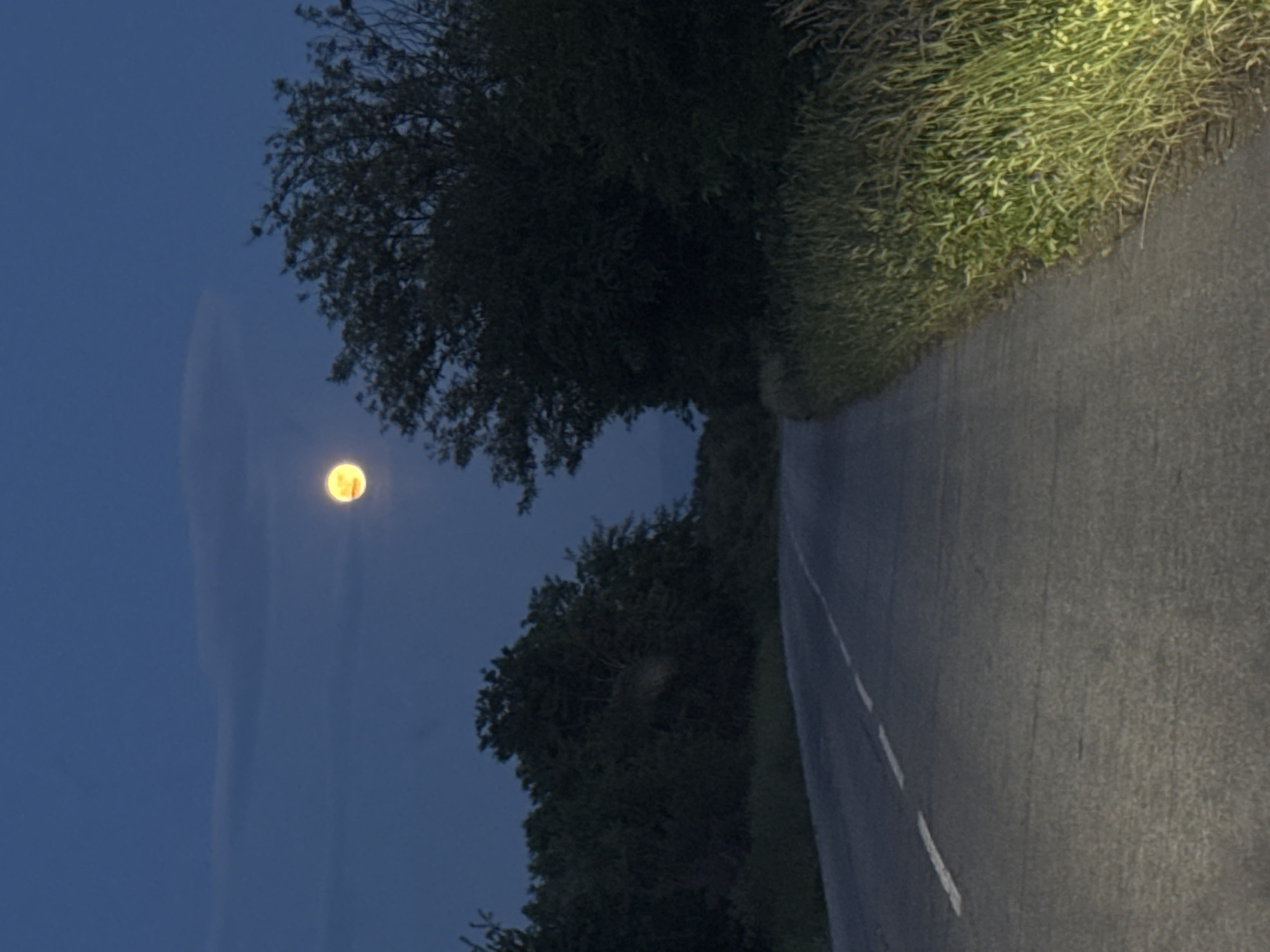 The image shows a nighttime view of a rural road. A single yellow moon is visible in the dark blue sky. Trees and tall grass line the side of the road. The road surface is dark, with a white dashed line marking the center. The image is taken from a ground-level perspective, possibly from a vehicle. The location appears to be a rural area, but it cannot be confirmed to be in Kalugerovo, Bulgaria. There are no people visible in the image.