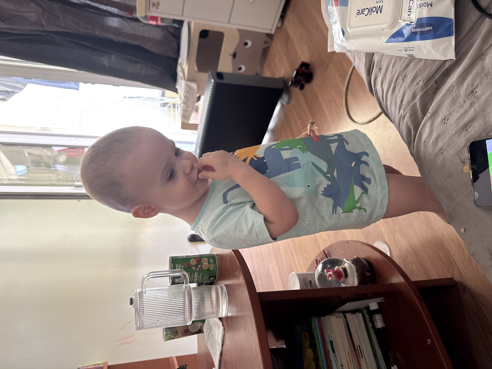 The image captures a young child indoors during daytime, likely within a home environment in Sofia, Bulgaria. The child, a toddler with light hair, is positioned in the center, wearing a light blue t-shirt with dinosaur prints. They are engaged in eating a small snack, which they hold to their mouth with their fingers.
The surroundings include various household objects. To the child's right, a grey quilted comforter or blanket is visible, with a packet of "MoliCare" moist wipes on top. Text on the wipe packet reads "MoliCare," "MoistCare," "SKIN," and "HARTMANN." On the floor nearby, a red and black toy car can be seen. Behind the child, a dark-colored radiator or heater is present.
In the foreground to the child's left, a wooden shelving unit holds several books. On its surface, a clear ribbed glass pitcher, a can marked with "BIO," and a small snow globe containing a red figure are arranged. Bright natural light enters from a large window in the background, providing a blurred view of exterior buildings, suggesting a residential area. The child's expression is neutral, focused on their snack, creating a candid, everyday scene.