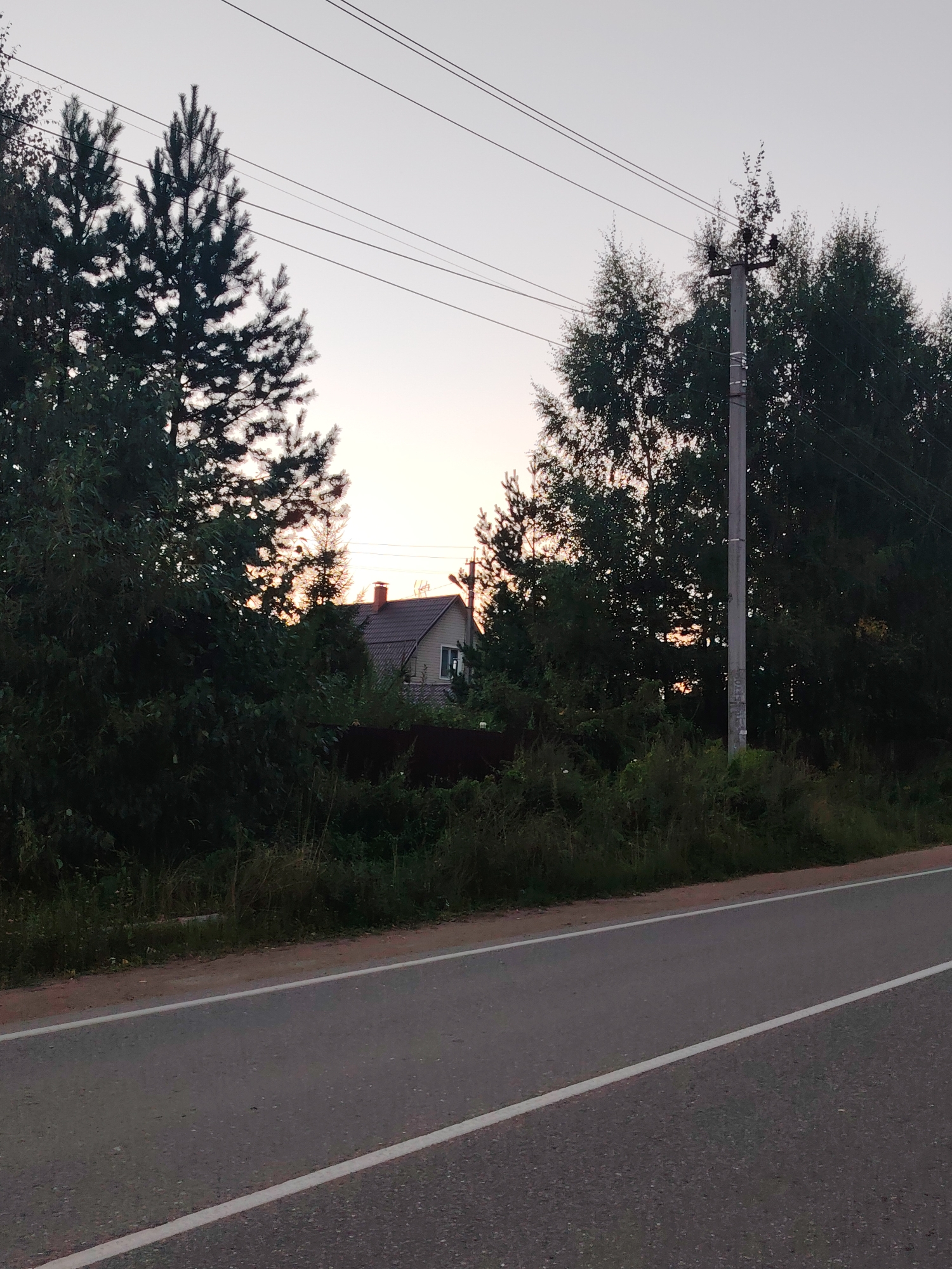 The image depicts a rural roadside scene in the city of Lyubava SNT, Russia. A paved road with white lane markings runs diagonally across the lower portion of the frame. To the right of the road, a concrete utility pole with electrical wires stretches upwards, passing through a dense line of dark green trees. Beyond the trees, a house with a brown roof and a visible chimney is partially obscured by foliage. The sky above is a pale gradient, suggesting either early morning or late evening light, with a hint of orange visible through the trees. The environment appears to be a natural setting with abundant vegetation and overhead power lines.
