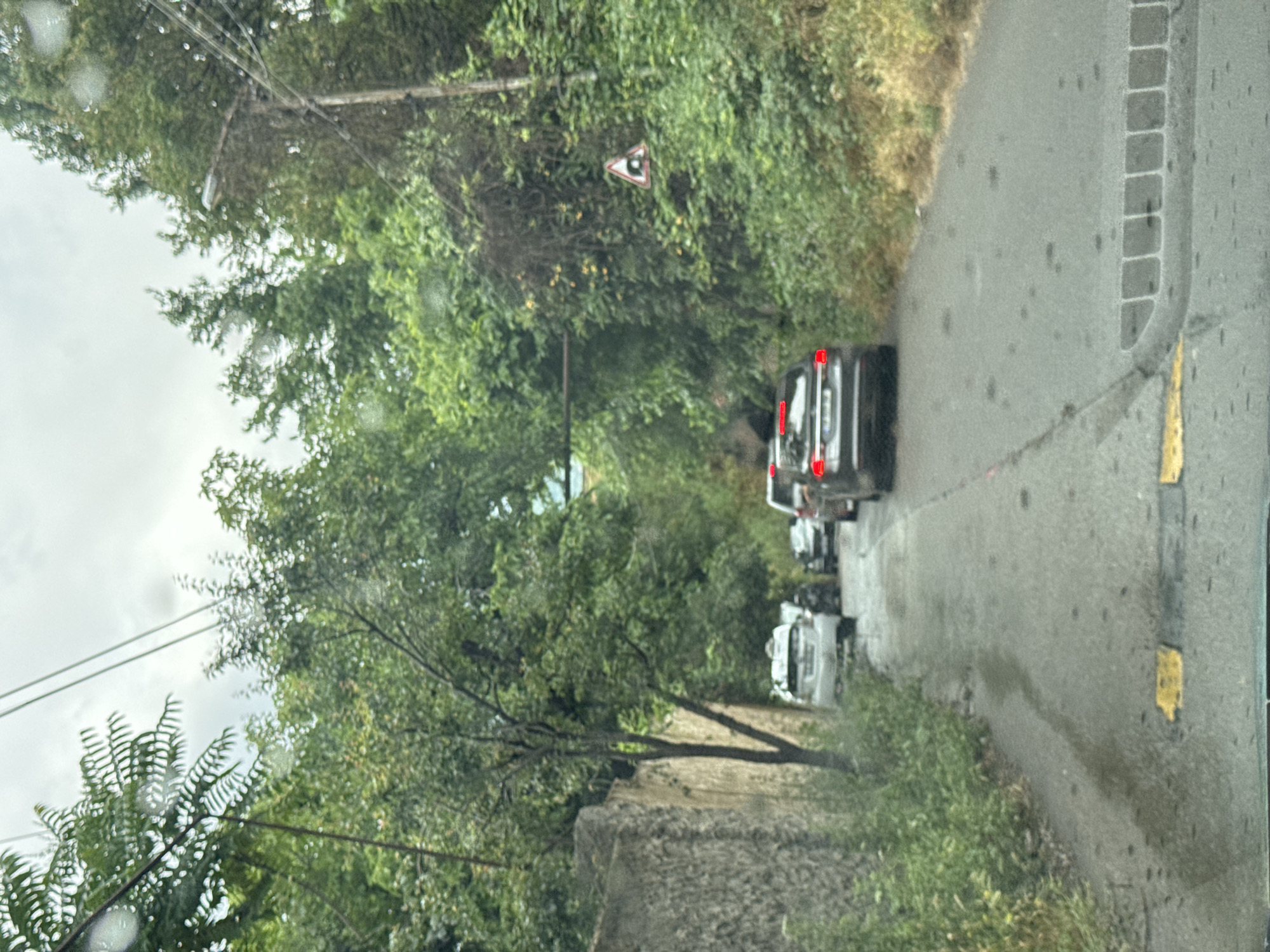 This image depicts a narrow, asphalt road in Tbilisi, Georgia, bordered by dense green foliage and trees on both sides, with a stone wall on the left. The road appears wet, suggesting recent rain, and features speed bumps. A line of cars is stopped on the road, indicating traffic congestion. The sky is overcast, contributing to a muted, natural light. A triangular warning sign with a black silhouette of a tunnel or underpass on a white background, bordered in red, is visible on the right side of the road amidst the greenery. The perspective is from inside a vehicle, looking forward through a windshield that shows some water droplets.