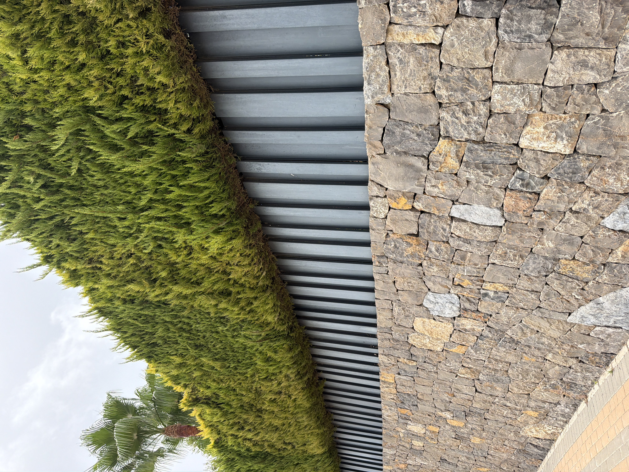 The image shows a textured stone wall in the foreground, leading up to a modern vertical metal fence, topped by a dense, green hedge. In the background, a palm tree is visible against an overcast sky. The scene appears to be in a residential or public outdoor space, possibly a garden or park area, in the municipality of Finestrat, Spain. The lighting suggests it is daytime.