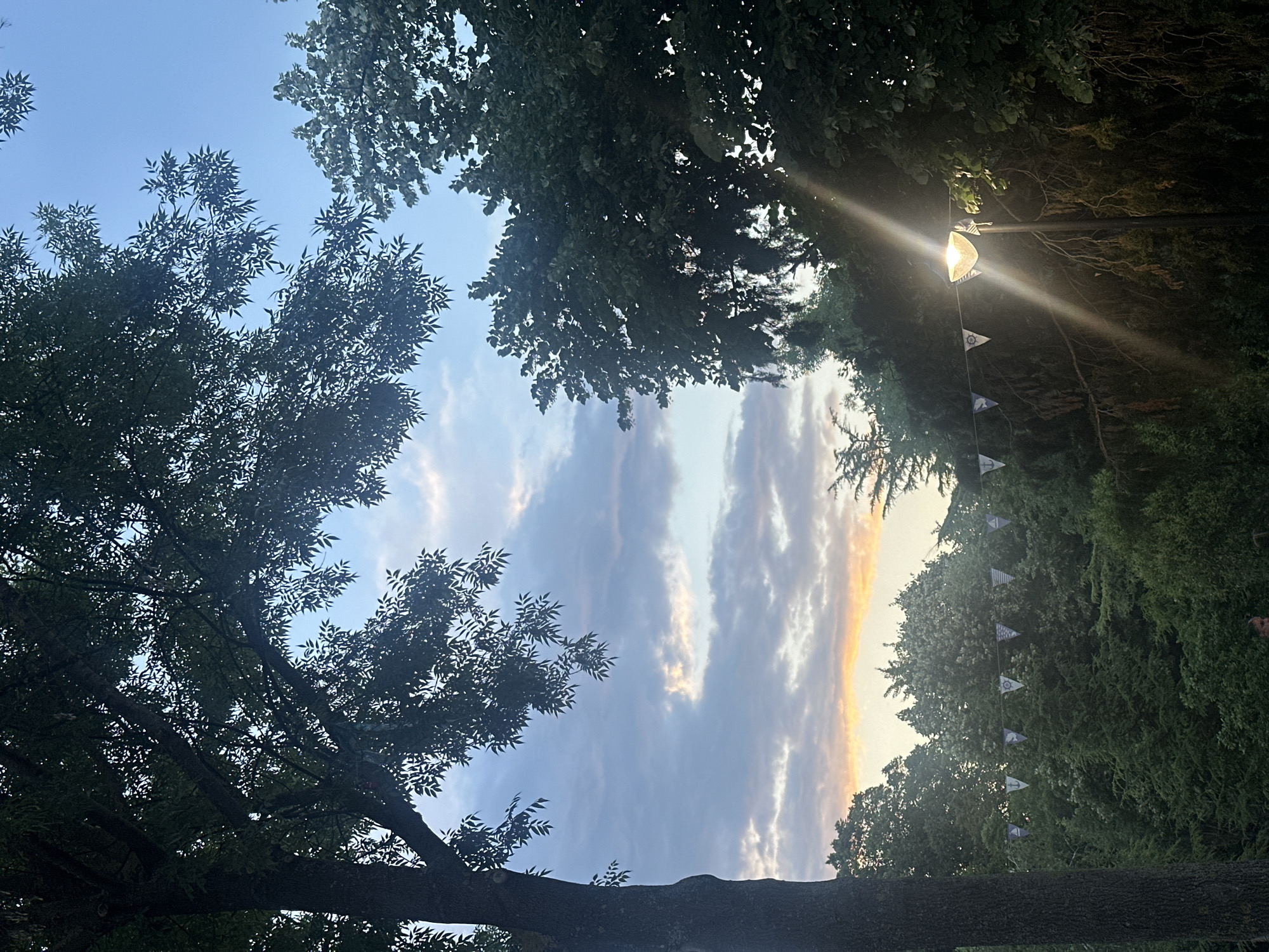 The image depicts an outdoor scene at dusk, likely in the city of Burgas, Bulgaria, given the context provided. The sky is a blend of blue and grey, with streaks of orange and pink indicating sunset. Silhouetted against the sky are the dense green canopies of trees, with the trunk of a large tree prominent in the foreground on the left. A string of triangular pennant flags with nautical symbols, such as anchors and steering wheels, is stretched across the middle ground, adding a decorative element. In the right mid-ground, a street lamp is illuminated, casting a bright light and creating a visible light beam. The overall impression is one of a peaceful evening setting, possibly a park or garden area. No specific actions or interactions are clearly visible, and only a faint human presence is suggested in the lower portion of the frame.