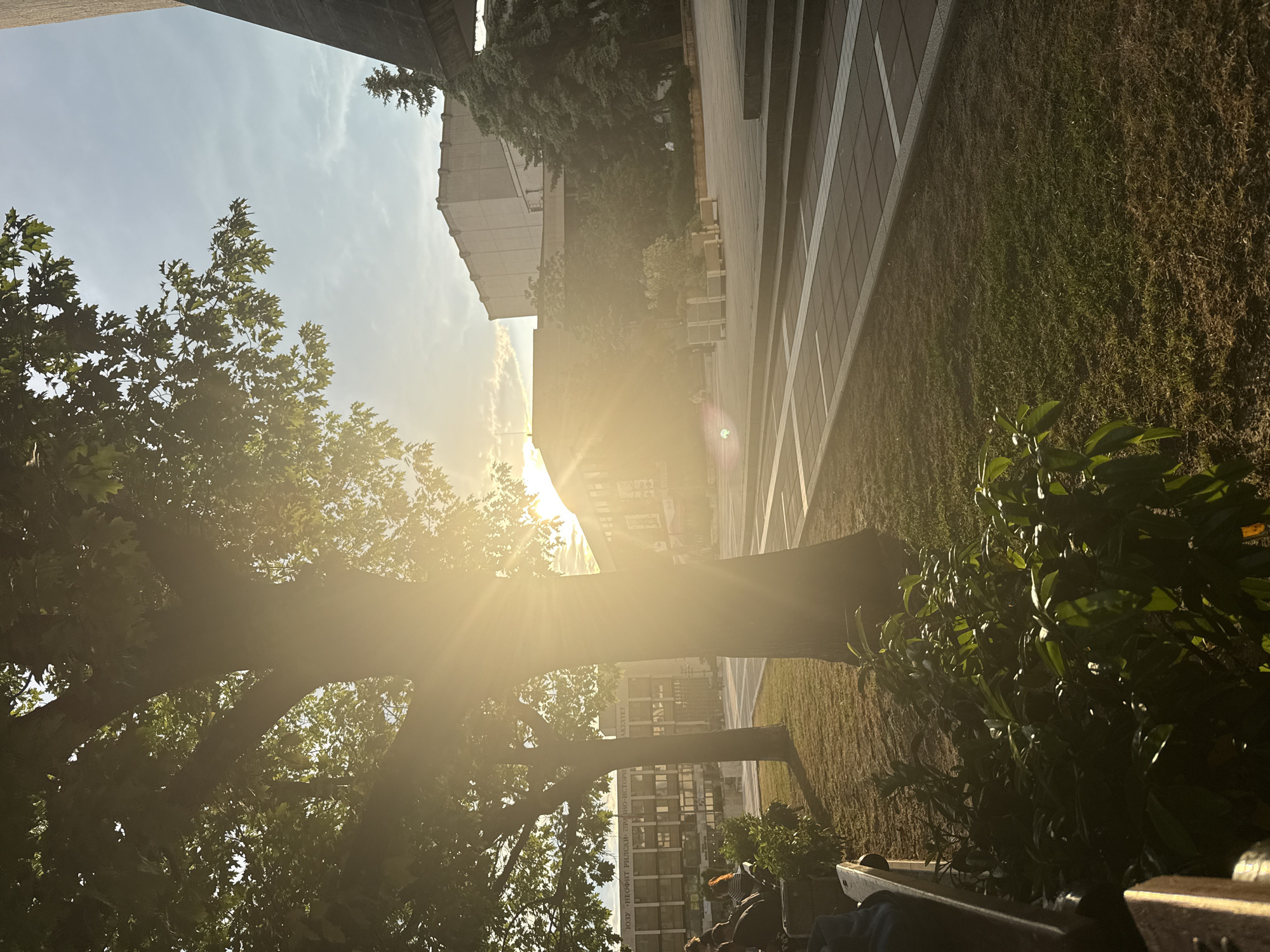 The photograph, taken in Blagoevgrad, Bulgaria, depicts an outdoor scene at sunset, heavily backlit, with the sun's glare dominating the center. The foreground features trees with dense foliage casting shadows, and a bench is partially visible at the bottom of the frame. In the background, buildings line the scene, partially obscured by the sunlight. To the right, a paved walkway and a grassy area run alongside the building. People sit on the bench. The sky is visible in the upper left corner, displaying a hazy mix of blue and clouds. The photograph has been rotated 90 degrees counterclockwise.
