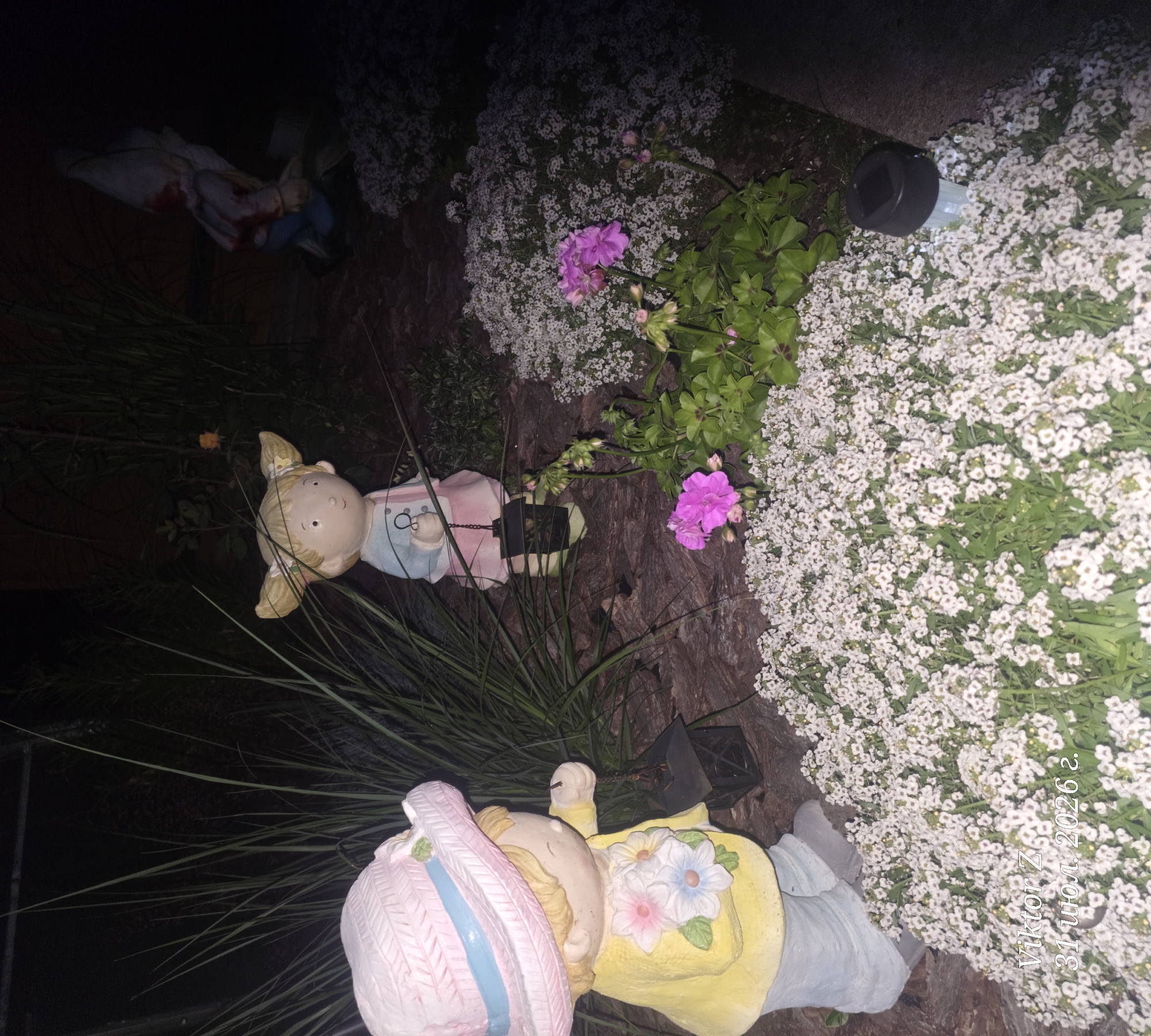 The image depicts a nighttime scene in a garden setting, possibly in the city of Šveicarai, Lithuania. In the foreground, a garden figurine of a girl wearing a pink straw hat and a yellow jacket with floral appliques is positioned next to a cluster of small white flowers. She is holding a dark lantern. Behind her, another garden figurine of a girl with pigtails and a blue and pink dress stands among tall grasses and foliage. Further in the background, partially obscured by darkness and foliage, is a gnome figurine. The ground is covered with mulch and various flowering plants, including the white flowers in the foreground and pink flowers visible in the mid-ground. A solar-powered garden light is also present among the flowers on the right side of the image. The overall impression is a dimly lit, decorative garden. A watermark at the bottom left reads "Viktor Z 31 июля, 2026 г."