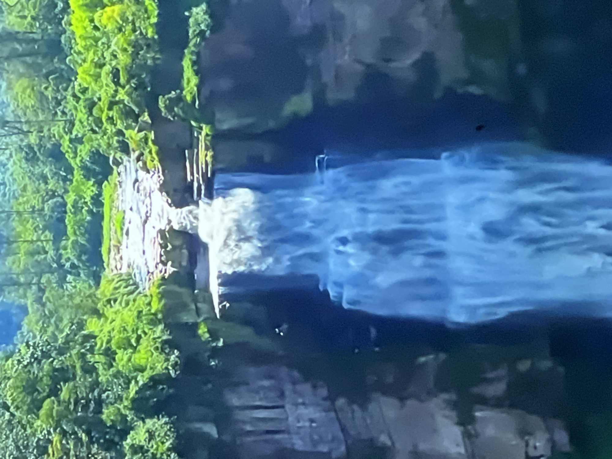 The image depicts a cascading waterfall amidst lush green vegetation and rocky cliffs. The water plunges over a series of tiered rock formations before reaching the base, where it appears to flow into a dark body of water. The surrounding cliffs are textured and appear to be covered in moss or other plant life in some areas. The upper portion of the scene shows a river or stream flowing towards the waterfall, with more dense foliage on the banks and in the background. The overall impression is of a natural, wild landscape. This image is not located in Casablanca, Morocco.