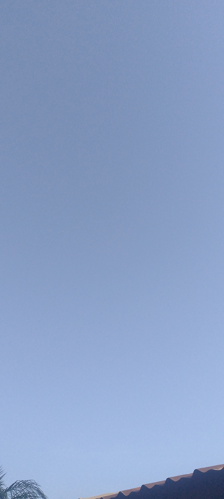 The image shows a clear blue sky above a partial view of a reddish-brown tiled roof and the fronds of a palm tree on the left side of the frame. The scene is likely outdoors in Jalingo, Nigeria. The sky occupies the majority of the image, with a clear gradient of lighter blue towards the bottom and a deeper blue towards the top. The roof tiles have a wavy, corrugated pattern. The palm fronds are dark green and feathery, suggesting they are from a healthy tree. There are no people or animals visible in the image, and no actions are taking place. The environment appears to be sunny and tranquil, with no signs of distress or activity.