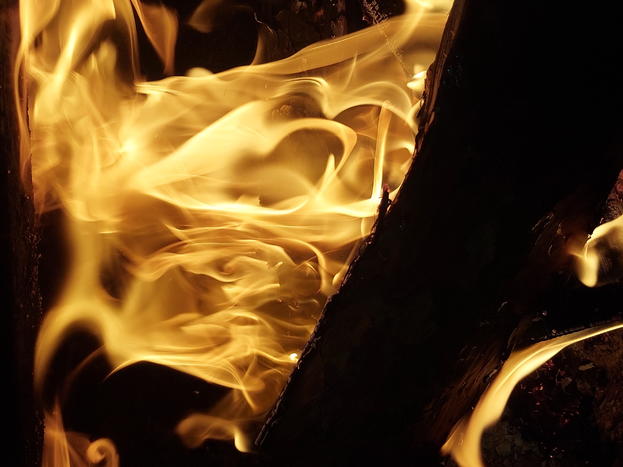 The image shows flames engulfing dark wood. The flames are primarily yellow-orange with lighter highlights. The wood is dark brown to black with visible bark texture. The background is black.
