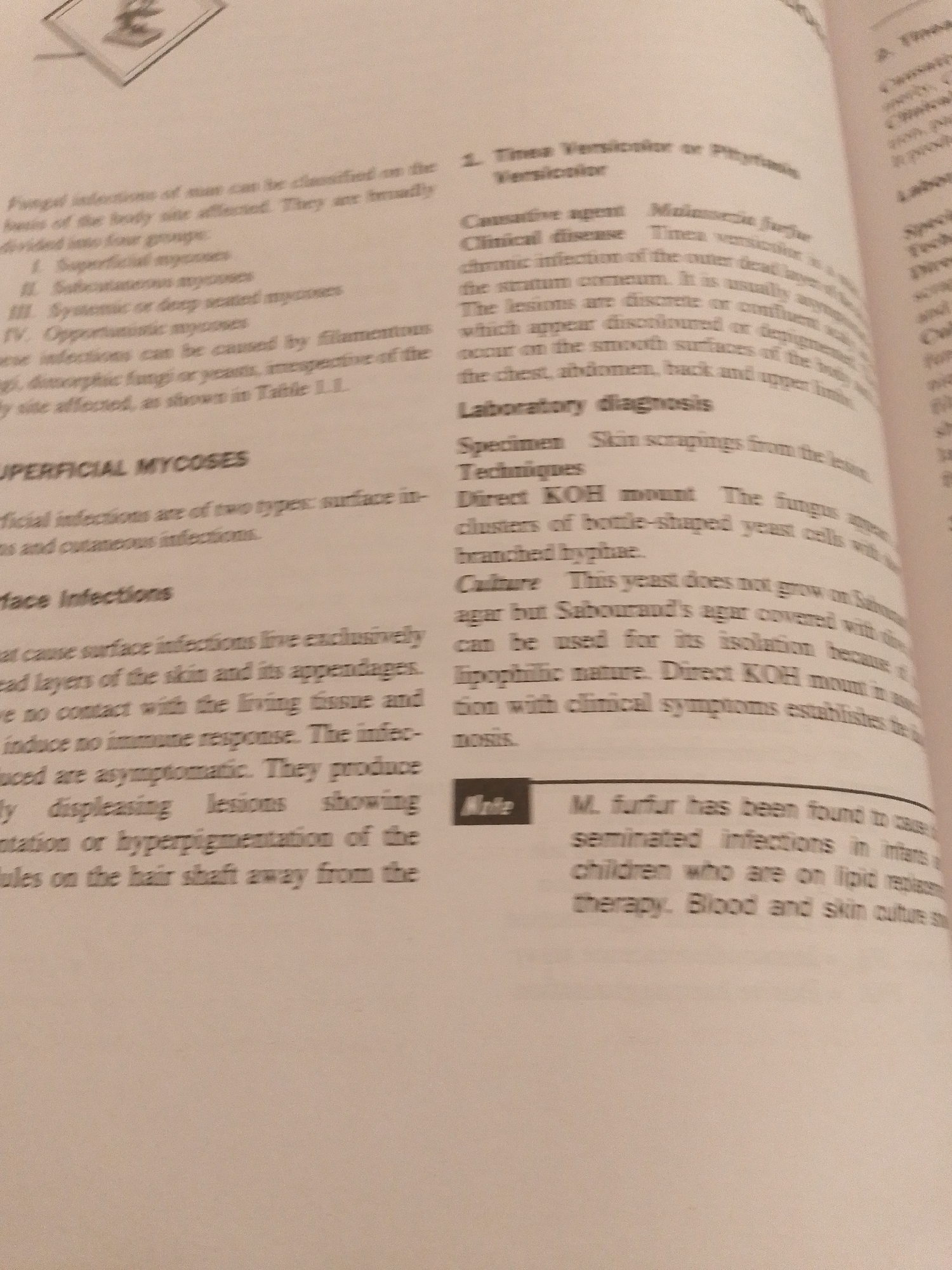 The image is a close-up of a page from a medical textbook discussing fungal infections. The text details the classification of fungal infections into four groups: Superficial mycoses, Subcutaneous mycoses, Systemic or deep-seated mycoses, and Opportunistic mycoses. It then elaborates on superficial mycoses, dividing them into surface infections and cutaneous infections. A specific condition, "Tinea Versicolor or Pityriasis Versicolor," is described with its causative agent (Malassezia furfur), clinical disease, laboratory diagnosis (specimen and techniques like Direct KOH mount and culture), and a note about M. furfur causing disseminated infections in infants. The image does not contain any information about the city of Jauro Yinu, Nigeria, or any forensic details.