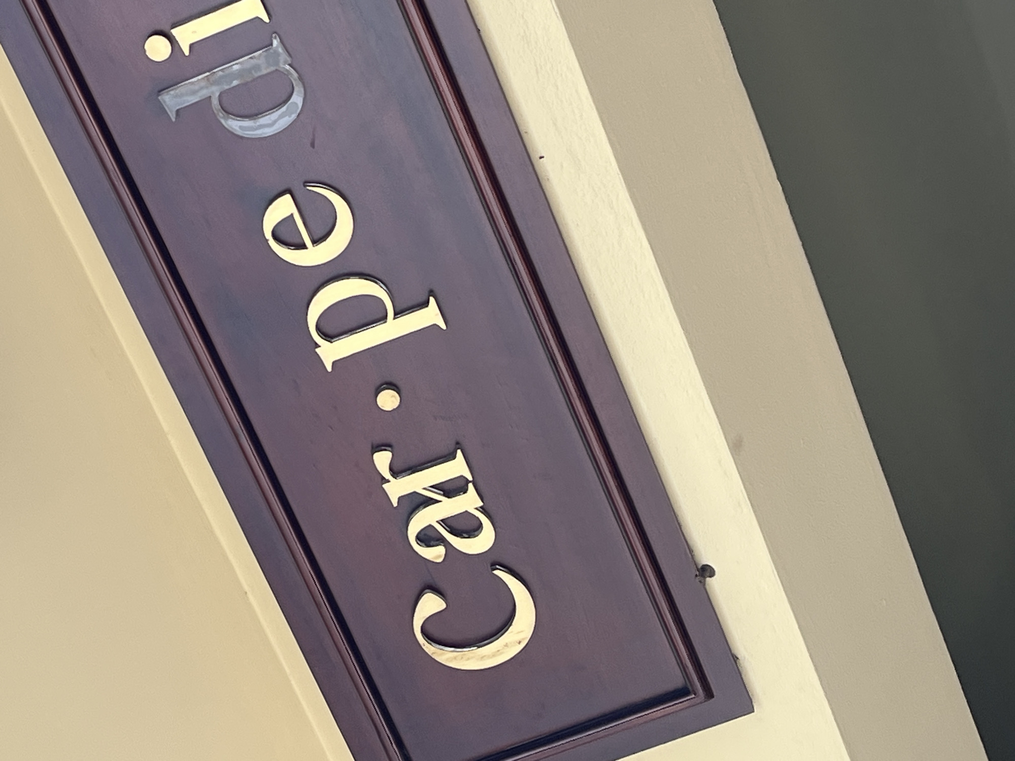 A wooden sign with gold and silver lettering hangs at an angle against a pale yellow wall, with a dark grey surface below. The sign reads "Carpe Di". The lettering is in a serif font. The word "Carpe" is in gold, and "Di" is in silver. There is a small gold dot between "Carpe" and "Di".