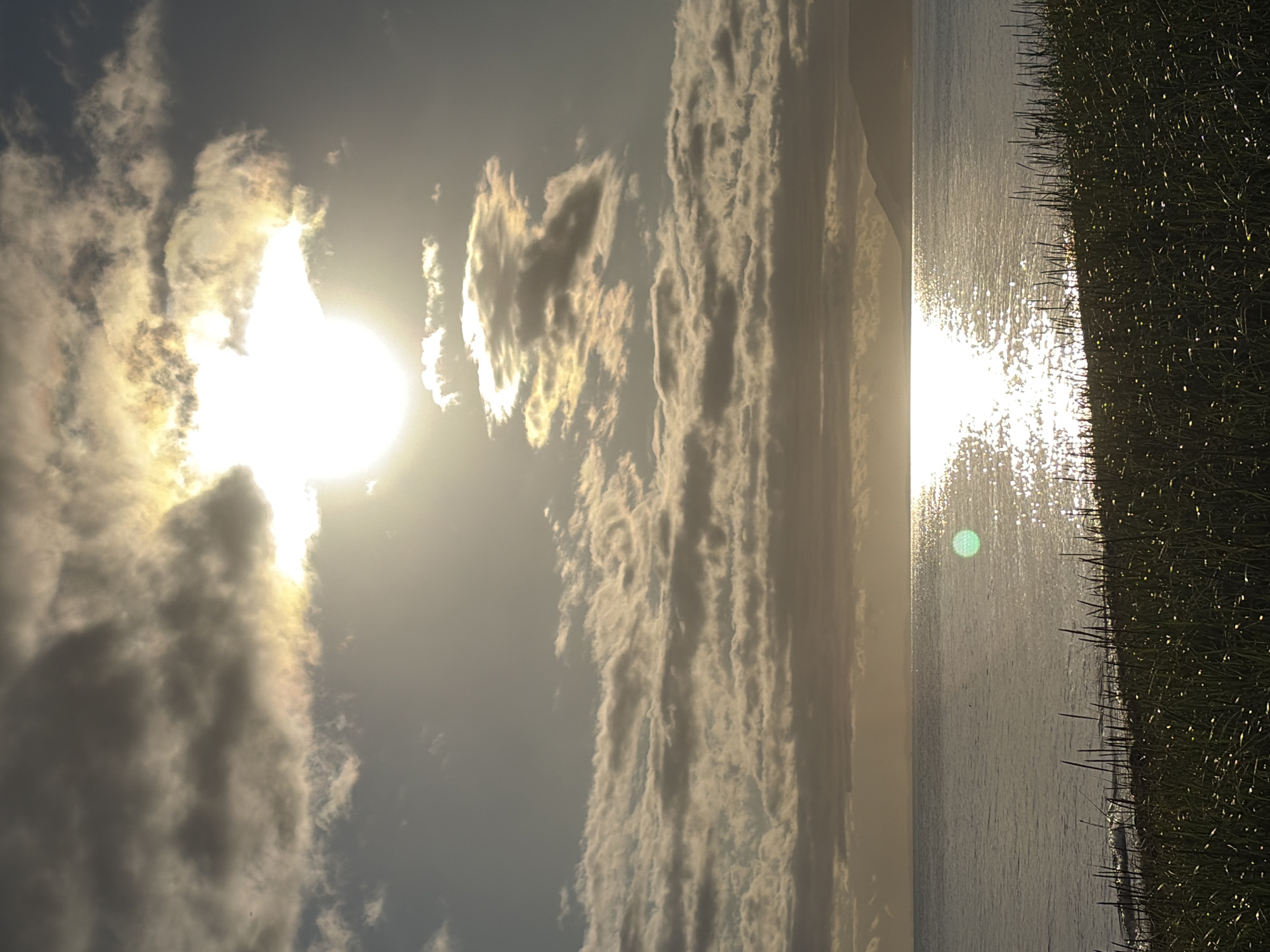 The image shows a wide shot of a body of water, likely a sea or large lake, with a shoreline in the foreground and a hazy sky above. The sun is brightly shining through a gap in the clouds, casting a strong glare on the water's surface. The foreground is dominated by a dense patch of green grass and reeds, some of which are catching the sunlight and appearing to sparkle. The water itself is a calm, muted blue-grey. In the distance, a faint outline of hills or mountains is visible on the horizon, silhouetted against the bright sky. The clouds are a mix of dark grey and wispy white, with sunlight breaking through in several places, creating a soft, diffused light. There are no people or animals visible in the frame. The overall atmosphere is serene and natural.