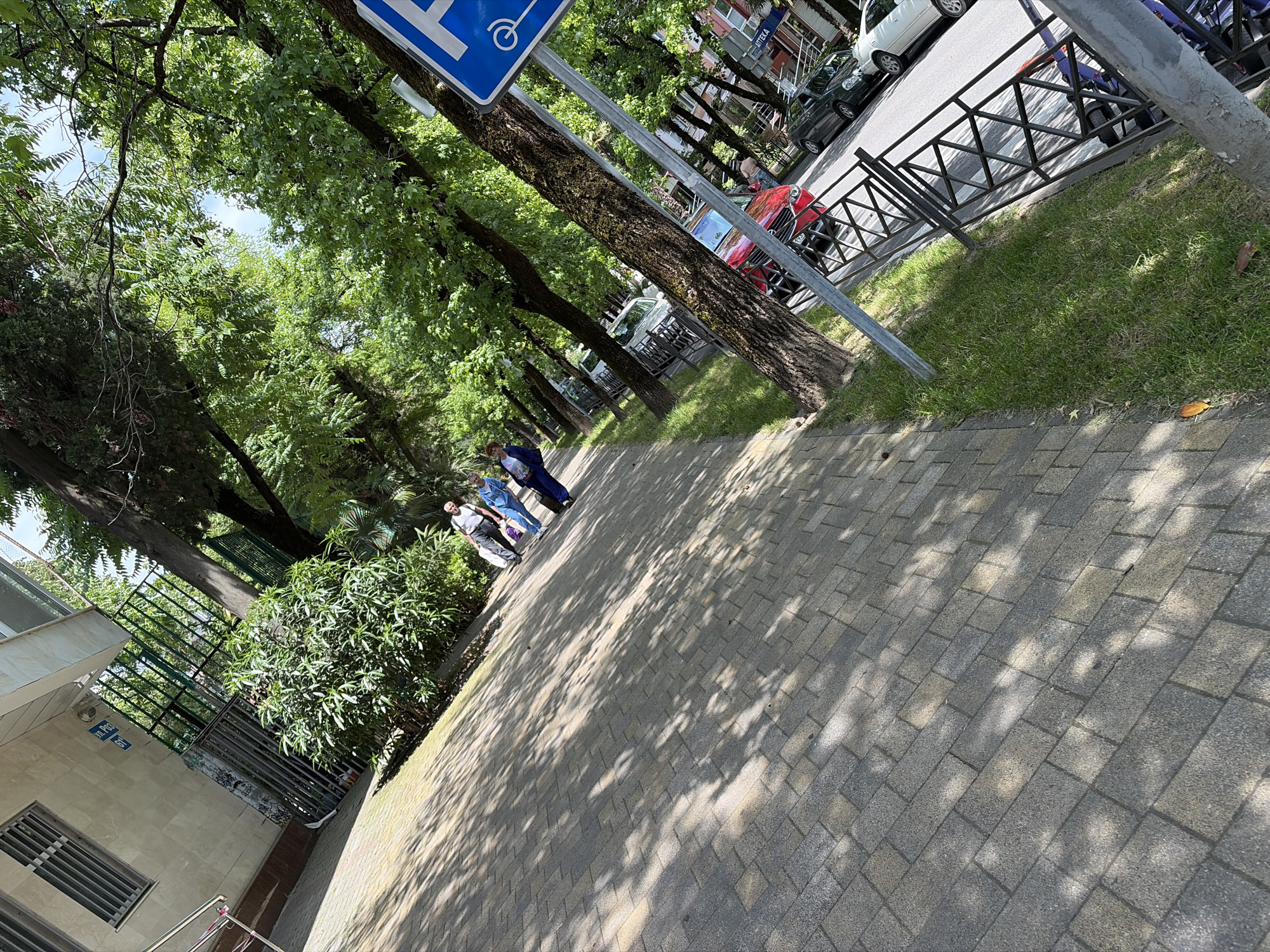 The image depicts a daytime street scene on Ulitsa Russkaya (Russian Street), address 67, in Sochi, Russia, under bright sunlight with dappled tree shadows.
In the foreground and left, a light grey and beige paved sidewalk extends diagonally into the distance. Three individuals are walking away from the camera on the sidewalk in the middle ground: one person in light and dark attire pushing a light object, a second in a light blue uniform also pushing a light object, and a third in dark clothing carrying a bag.
A row of mature deciduous trees with robust, moss-covered trunks and dense green foliage lines the right side of the sidewalk, creating a natural barrier. Beyond the trees, a strip of green grass borders an asphalt road. Several cars are parked along the curb, including a red sedan, a dark-colored sedan, and a white sedan. A black metal fence with a diagonal lattice pattern separates the grassy strip from the road. A blue rectangular sign with a white 'P' and a wheelchair symbol is affixed to a metal pole near the right edge of the frame.
In the upper left corner, a cream-colored building with horizontal barred windows and a sign reading "УЛ. РУССКАЯ 67" (Ulitsa Russkaya 67) is partially visible. Further down the street on the right, other multi-story buildings are visible, one featuring the Cyrillic text "АПТЕКА" (Pharmacy) on its facade. The sky, partially visible through the tree canopy, is clear blue.