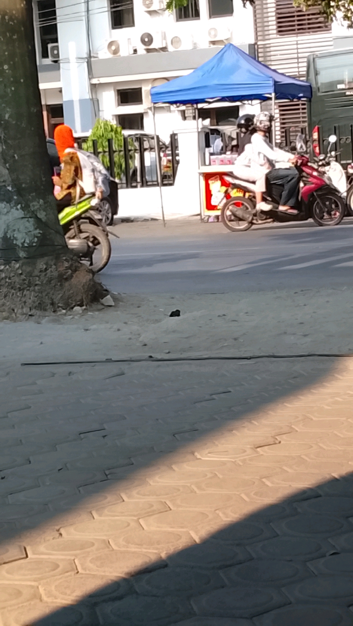 This image captures a street scene in Slawi, Indonesia, with a focus on two motorcycles and two individuals. On the left, a person wearing an orange head covering is seated on a green and black motorcycle, which is parked next to a large tree trunk. The motorcycle appears to have some cargo or items strapped to its back. In the center of the image, a blue canopy tent is set up, likely for a small business. Beneath the tent, a red and black motorcycle is moving, carrying two people. The person in front is wearing a white long-sleeved shirt and light-colored pants, with a helmet. The person behind them is wearing dark pants and a helmet. The motorcycles are on a paved road, with a sidewalk made of hexagonal pavers in the foreground. Buildings with multiple windows and air conditioning units are visible in the background. The lighting suggests it is daytime, with shadows cast across the pavement.