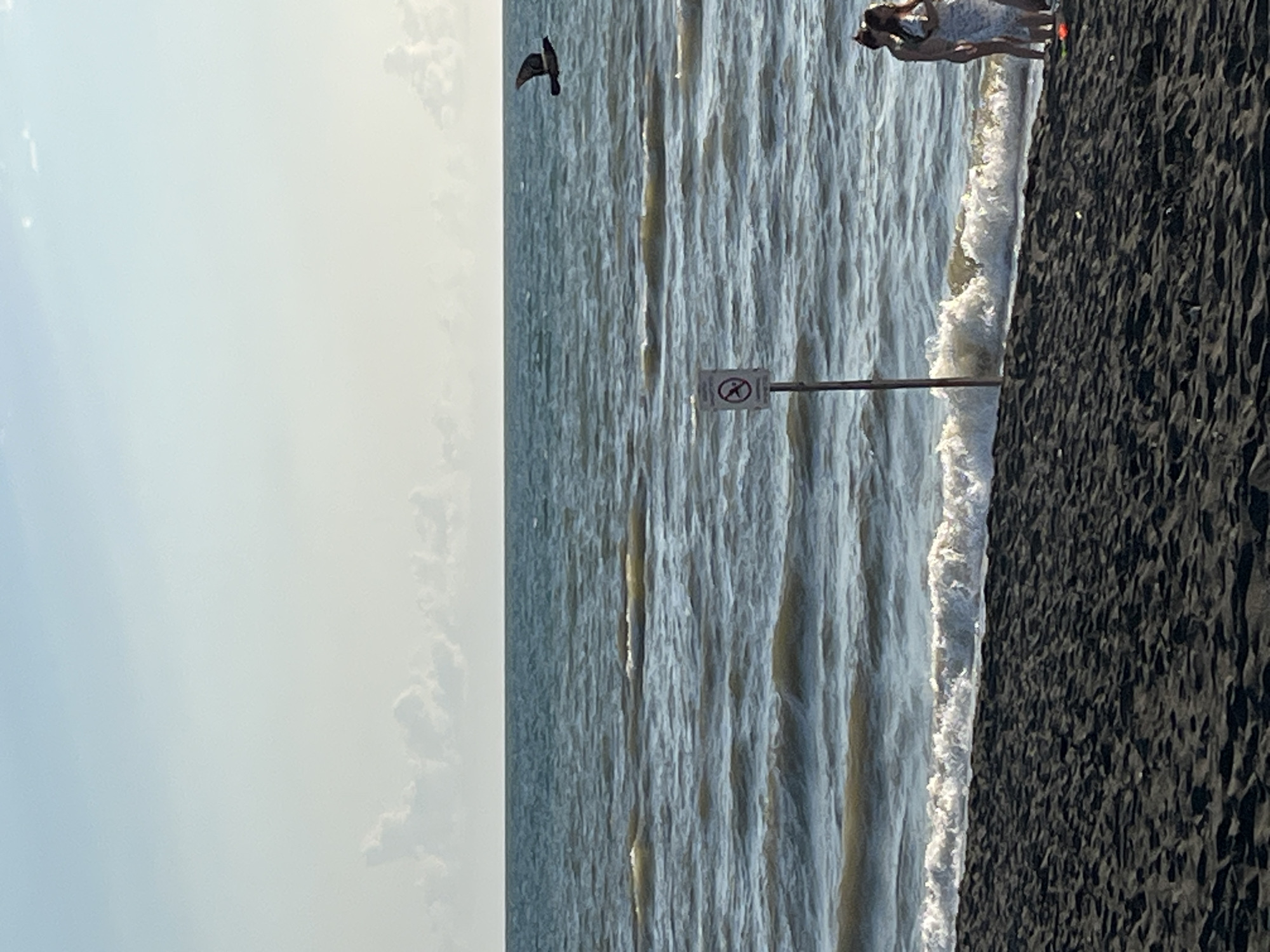 A wide shot shows the black sand beach of Ureki, Georgia, where the gentle waves of the Black Sea meet the shore. The sky is a pale blue, with scattered, wispy clouds near the horizon. A single bird in flight is visible in the upper right quadrant of the image. In the middle ground, a signpost with a circular "no swimming" symbol is planted in the sand. Closer to the foreground, on the right side, two individuals are standing near the water's edge. One person, wearing a white dress, is looking away from the camera, while the other, in a bikini, is turned partially towards them. The dark, textured sand of the beach dominates the lower half of the image.