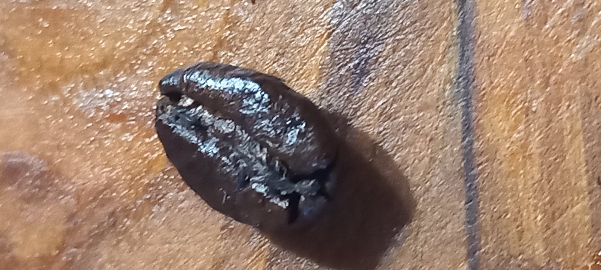 The image presents a close-up view of a single, dark, elongated object resting on a textured, light brown surface. The object strongly resembles a roasted coffee bean, characterized by its deep, dark brown to black color and a distinct, irregular crevice running lengthwise along its surface. Within this crevice, and on some areas of the bean's exterior, are visible lighter, silvery-white specks or crystalline residue.
The background surface is predominantly warm brown and orange-toned, exhibiting a fine, irregular texture that suggests wood grain or a similar organic material. This surface also features numerous small, scattered, light-colored specks, similar in appearance to those on the coffee bean. The object casts a soft shadow to its right, indicating a light source from the left or above. No activity or event is taking place, and no people or visible text are present. The lighting appears soft and diffused, not clearly indicating an outdoor setting or specific time of day.
