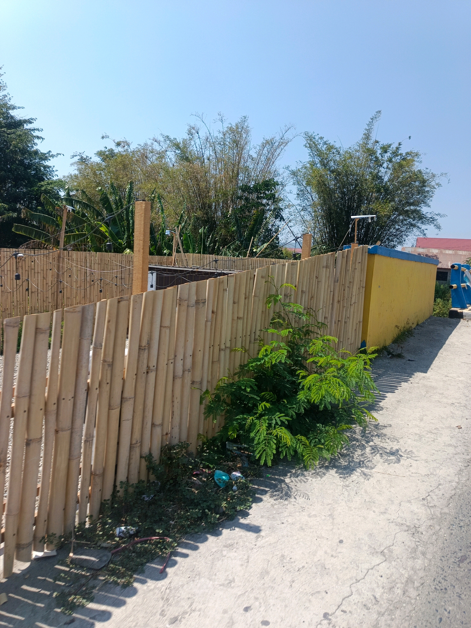 The image depicts an outdoor scene under a clear blue sky, likely in Gorontalo, Indonesia, given the context. A prominent bamboo fence, constructed from vertically placed bamboo poles, forms a barrier across the frame, curving slightly to the right. The fence is bordered by green vegetation and scattered debris at its base. To the right of the fence, a bright yellow wall with a blue trim runs along a paved pathway. Beyond the yellow wall, glimpses of red-roofed buildings and trees are visible. The pathway is cracked and appears to be made of concrete. The overall impression is of an undeveloped or semi-developed area, possibly a residential or commercial boundary. There are no people or animals visible in the image.