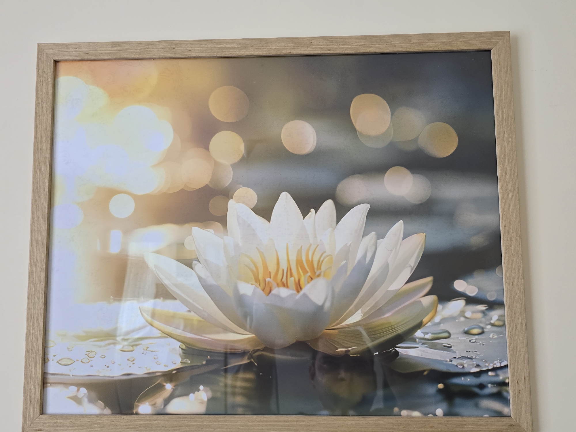 The media file displays a framed picture hanging on a plain, light-colored wall. The frame is made of light-toned wood with a visible grain, and it appears to have mitered corners.
The artwork inside the frame features a large, white lotus flower as its central subject. The lotus has numerous petals and distinctive yellow stamens in its center. It is depicted floating on a body of water, which reflects soft, warm light. The surface of the water around the flower shows several small water droplets, suggesting dew, rain, or splashes.
The background of the image is characterized by numerous out-of-focus, circular lights (bokeh) in warm, golden, and soft yellow hues, creating a luminous and dreamy effect. These bokeh lights are particularly concentrated on the left side of the image, suggesting a strong light source, possibly the sun at sunrise or sunset. The overall lighting is bright and warm, with a serene and ethereal quality.
There is some visible glare on the surface of the framed picture itself, particularly in the top left corner, across the flower, and towards the bottom left, indicating that this is a photograph of a physical print or artwork. No visible text is present in the image.