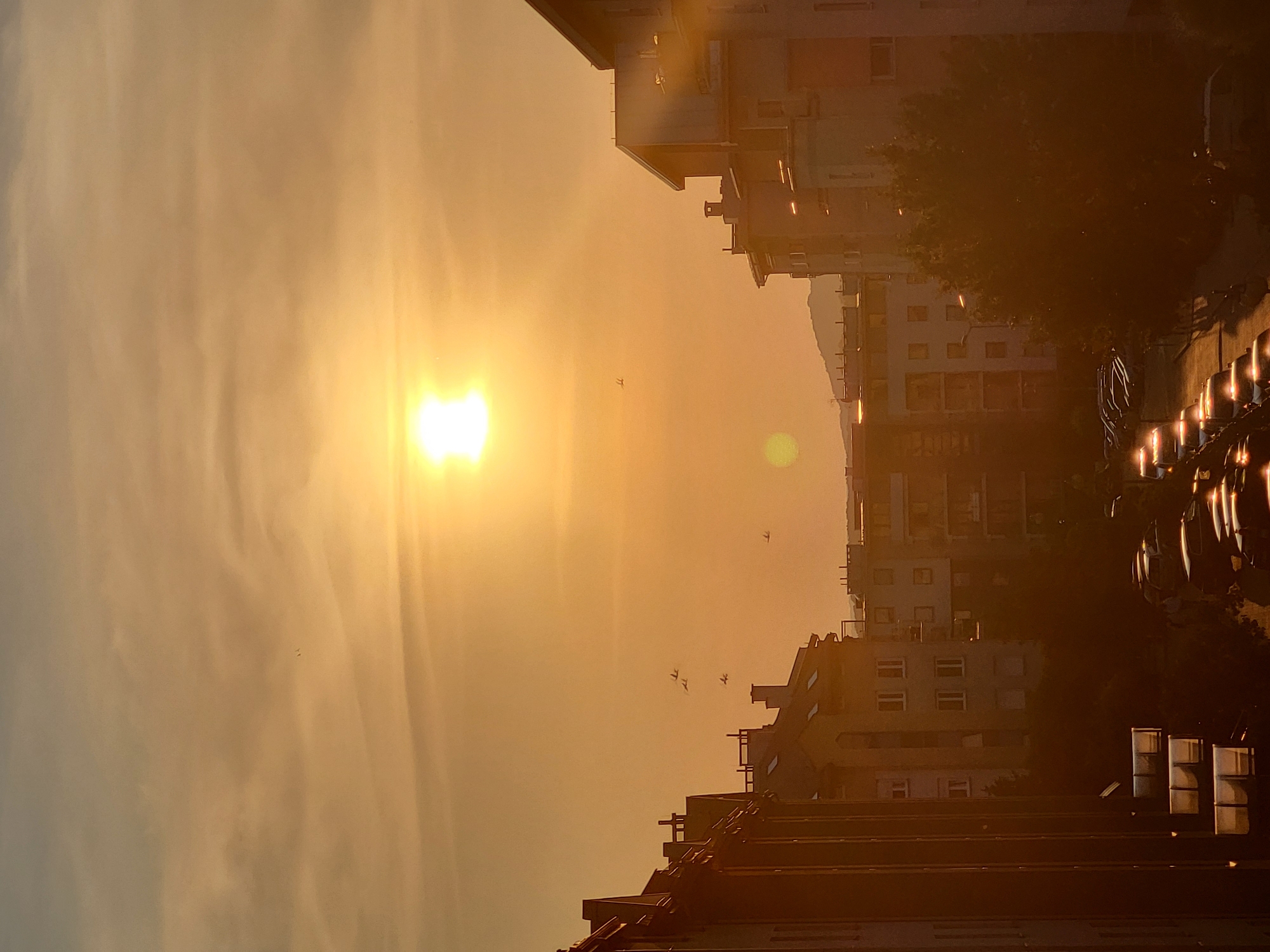 In an urban environment at dusk, the sun, appearing as a brilliant, elongated orb of light, is centered in the sky, casting a warm, orange glow over the scene. The sky itself is a hazy orange, with faint, wispy clouds. Several small, dark silhouettes of birds are visible in flight against the illuminated sky, scattered at various distances.
The foreground and midground are dominated by apartment buildings, with their windows reflecting the sunset light. The buildings are depicted in varying shades of orange and brown, with some architectural details like chimneys and balconies visible. The perspective suggests the image was taken from a higher vantage point, looking down onto a street lined with parked cars. The cars, illuminated by the setting sun, have their headlights and taillights on, creating streaks of light on the asphalt. Trees with dark foliage are interspersed between the buildings and along the street, adding a touch of nature to the urban landscape. In the background, a faint outline of hills or mountains can be seen against the horizon.
