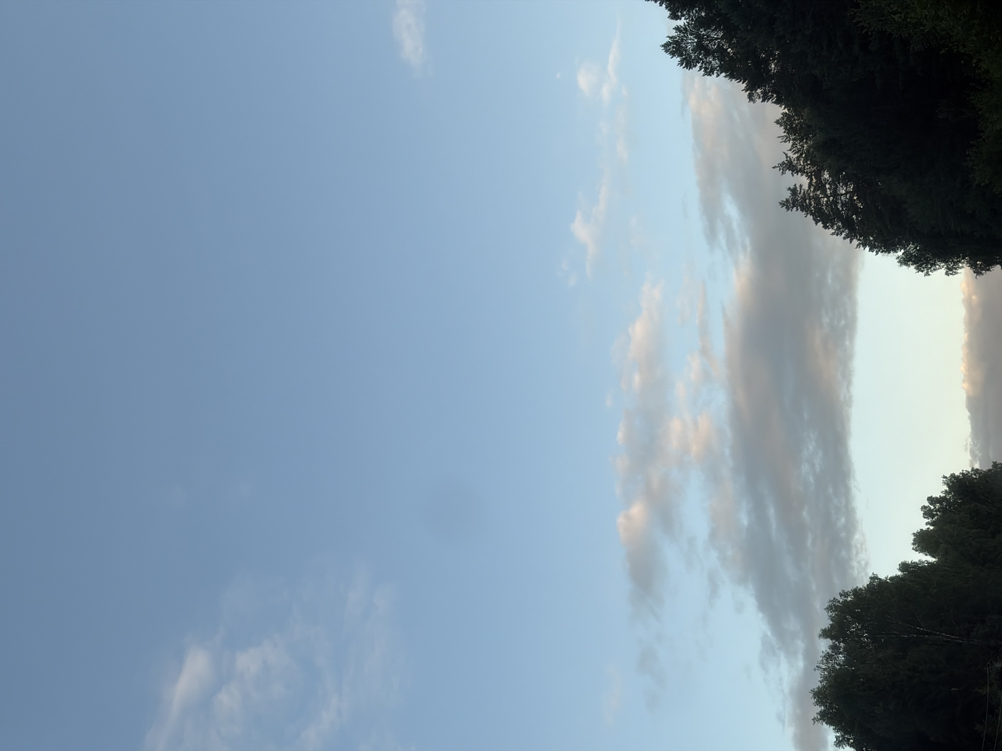 The image shows a sky with scattered clouds, ranging from light and wispy to darker, more substantial formations. Below the sky, a dense line of trees, primarily coniferous, forms a dark silhouette against the lighter background. The trees appear to be on a slope or hill, with the darker foliage on the right side of the image suggesting a more concentrated forest area. The overall scene depicts a natural landscape, likely in the outskirts of a populated area, with the sky suggesting either early morning or late evening light. There are no people or man-made structures clearly visible. The location is identified as Balakirevo, Russia.