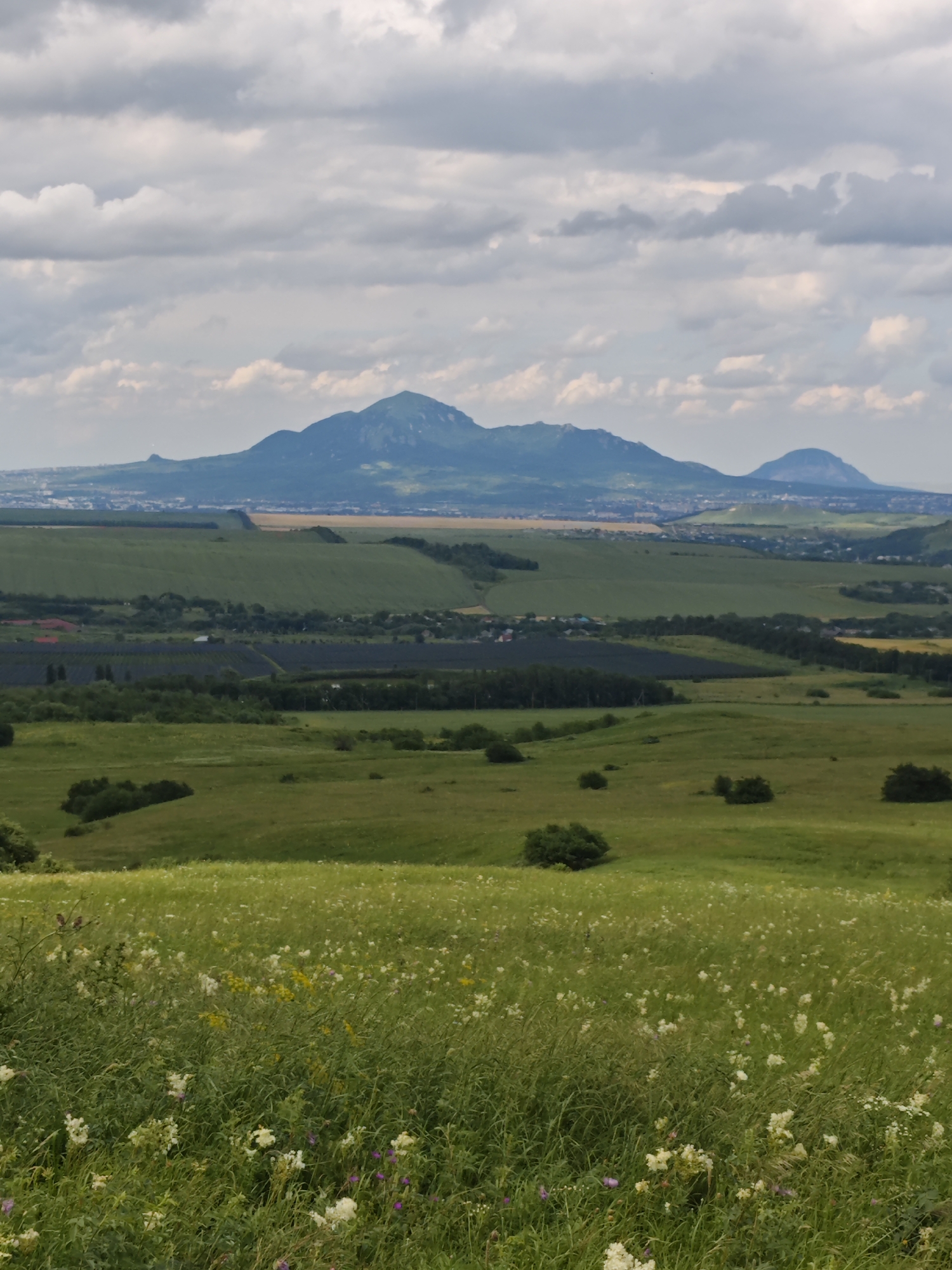 A panoramic shot captures a vast landscape under a cloudy sky, extending from a foreground of wild grass and flowers to distant, hazy mountains. The midground reveals rolling green hills dotted with trees and a darker rectangular area, possibly a solar farm. Beyond that, a town or city is visible at the foot of the mountains. The mountains themselves are a soft blue-green, their peaks rounded and softened by distance and atmospheric haze. The clouds are a mix of light grey and white, casting a diffused light over the scene. The image is devoid of any people or animals. The location is identified as Etoka, Russia.