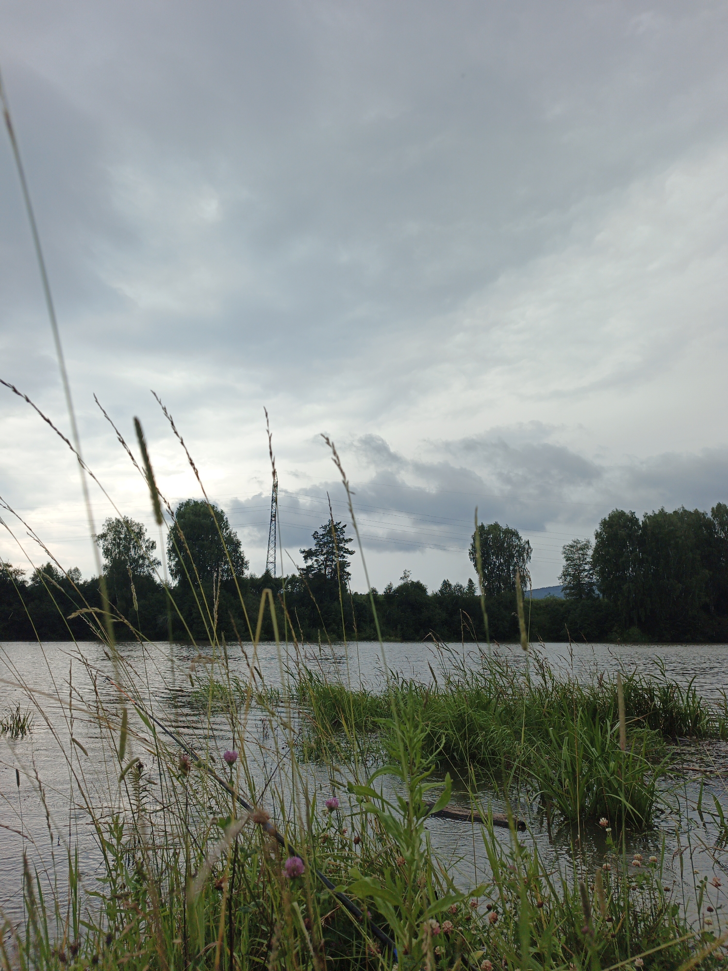 The image depicts a natural scene in Urtiushka, Russia. In the foreground, tall grass and reeds grow along the edge of a body of water, with some small pink wildflowers visible. The water itself is calm, reflecting the overcast sky above.
In the mid-ground, a dense line of trees forms the horizon, with a few taller trees interspersed among them. A prominent pylon with power lines stretches across the scene behind the trees, indicating the presence of infrastructure within the otherwise natural landscape. The sky is filled with heavy, grey clouds, suggesting a cloudy or potentially rainy day. The overall impression is one of a quiet, somewhat somber, natural setting near Urtiushka. There are no people or animals visible in the image.