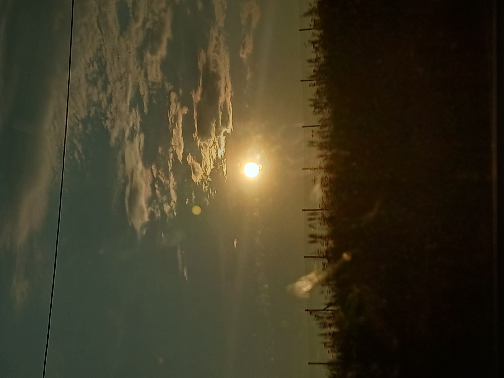 A sunset is captured over a field of dark vegetation with thin, vertical fence posts interspersed throughout. A thin, dark horizontal line, likely a wire, stretches across the upper portion of the sky. The sun, a bright orb, is positioned slightly left of center in the sky, partially obscured by thin clouds which are illuminated by the sun's rays. The sky transitions from a deep teal to a lighter, hazy yellow near the horizon. The foreground is dominated by dark silhouettes of vegetation.