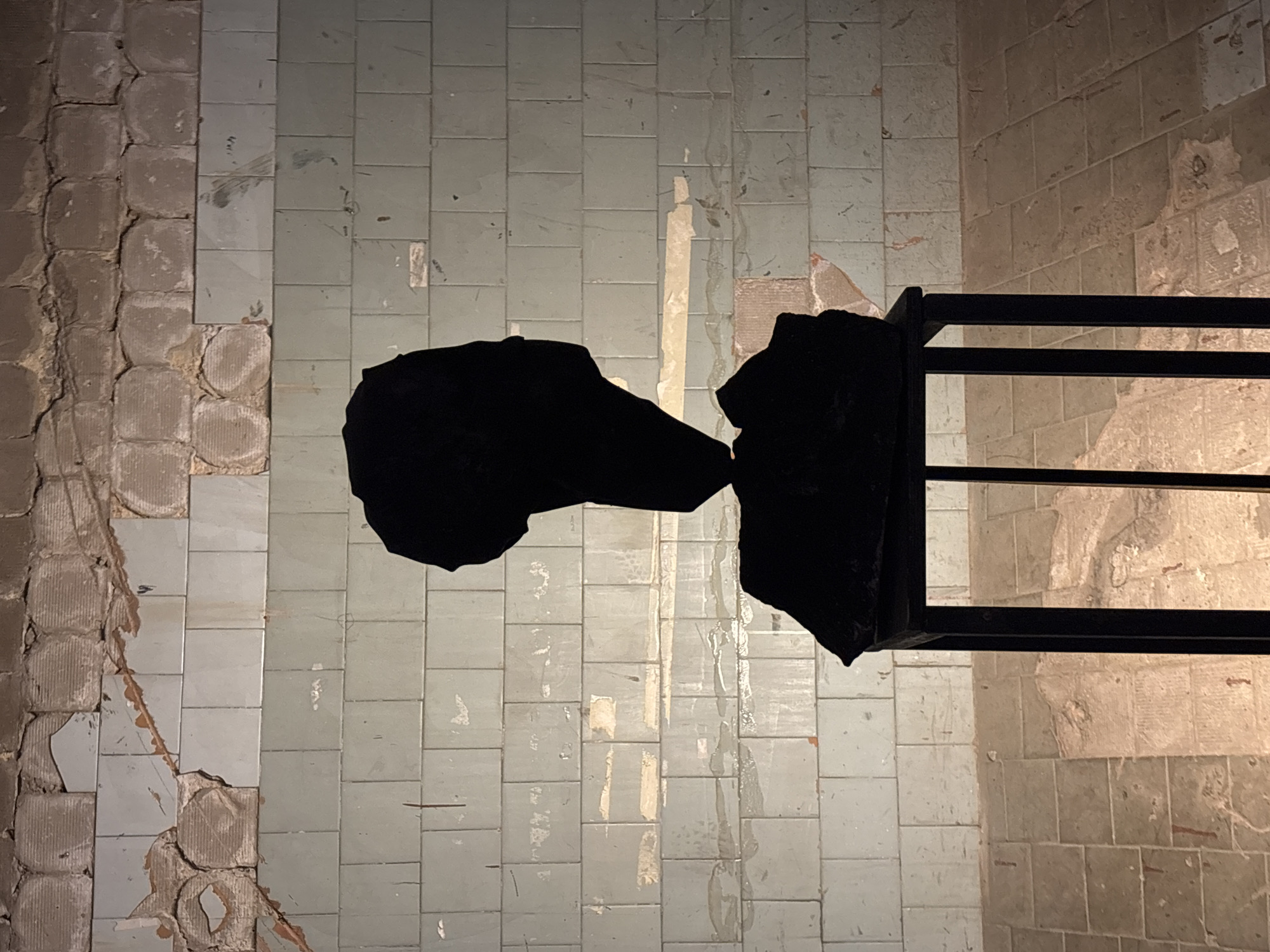 The image shows a section of a wall. The wall features a mix of tiled and exposed brickwork. The tiles appear square, with a faded blue-grey color. Some tiles are missing. Exposed brickwork is present on the left and right sides. The image also contains a blurred black object. The exact location in Saint Petersburg, Russia cannot be determined from the provided visual information.