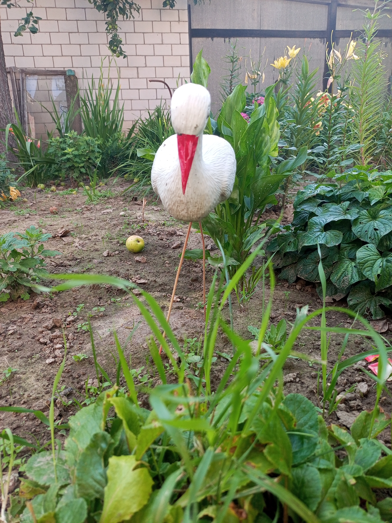 This is a medium-shot, eye-level, outdoor photograph of a garden in Хальчанскі сельскі Савет, Belarus. In the center of the frame, a white stork decoy with a red beak stands on thin legs amidst various plants. The decoy is positioned in the middle ground. The ground is a mixture of dirt and scattered fallen apples. In the background, a light brick building and a grey fence are visible. Lush green foliage and yellow lilies grow behind the decoy. The foreground is dominated by out-of-focus green grass.