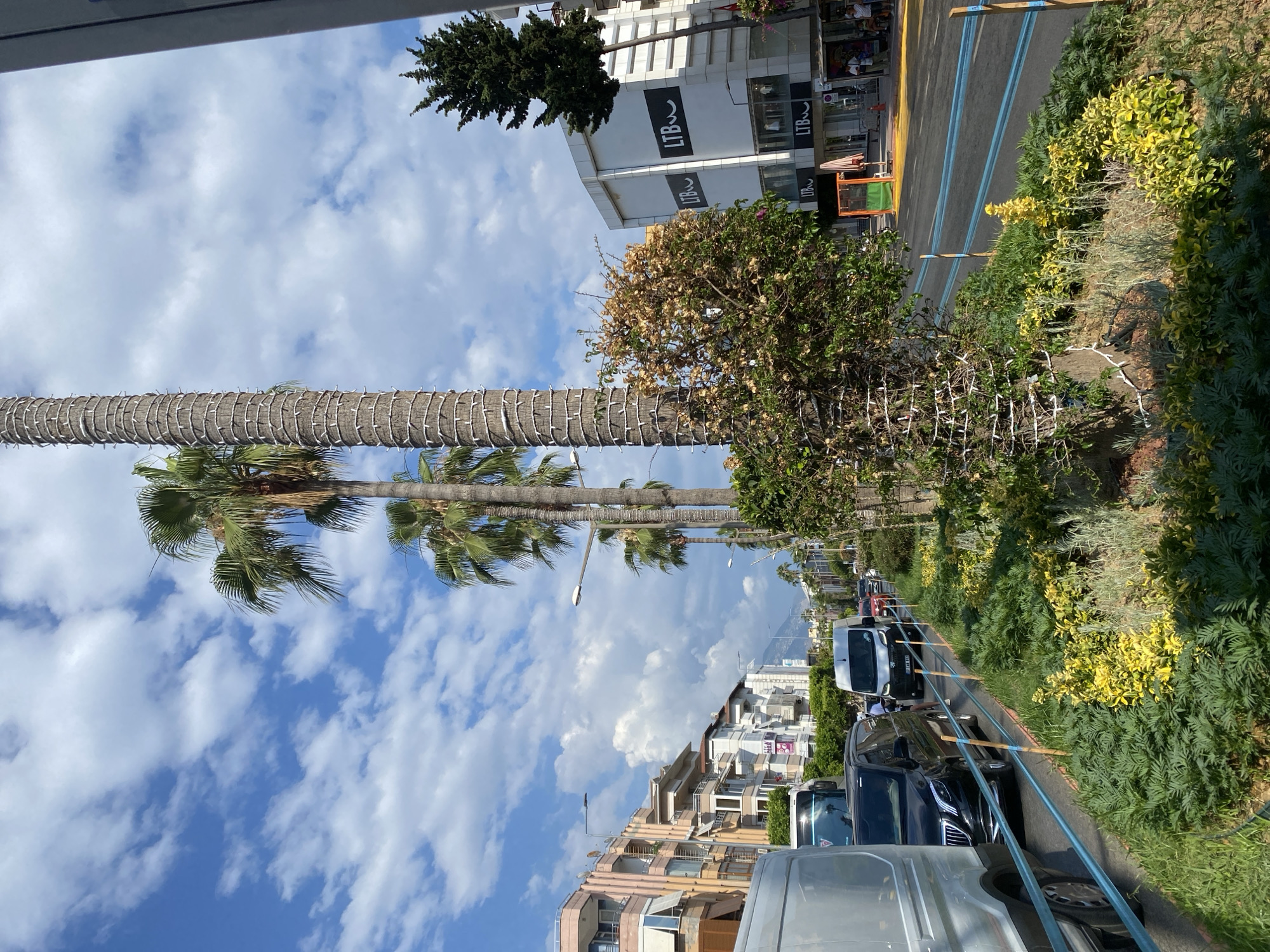 The image depicts a street scene in Alanya, Turkey, likely in the daytime given the bright sky and shadows. The sky is blue with scattered white clouds, suggesting pleasant weather. Palm trees line the street, with one large palm tree in the foreground decorated with white lights wrapped around its trunk.
On the left side of the street, there are several buildings. One building is white with black signage that reads "LTB" multiple times. Adjacent to it are other multi-story buildings with balconies and windows.
On the right side of the street, there is a row of parked cars, including several vans and a dark-colored sedan. These vehicles are parked along a road marked with blue lines. A strip of green vegetation, including bushes with yellow flowers, runs alongside the road and the parked cars, separating them from a sidewalk or walkway.
The scene appears to be a commercial area, with shops visible in the background buildings. The presence of palm trees and the architecture of the buildings suggest a Mediterranean or coastal location, consistent with Alanya. No specific event or activity is clearly identifiable, but the scene suggests a typical day in a busy urban environment. The overall mood is calm and bright.