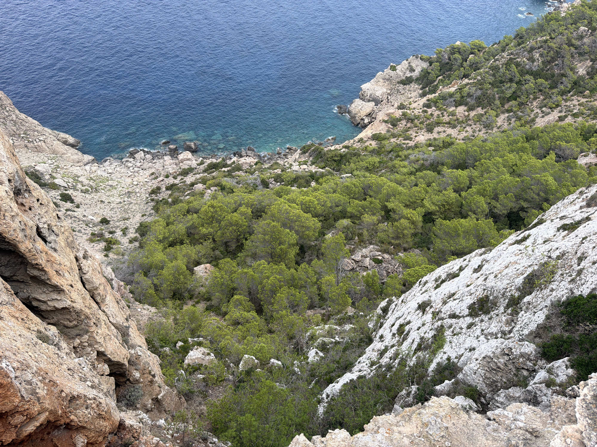The image displays a scenic overlook of a rugged coastal landscape. In the foreground, large rock formations with reddish-brown and white hues dominate the scene, suggesting a steep cliff face. Dense green vegetation, primarily trees and shrubs, covers the slopes below and extends towards the sea. The sea itself is a vibrant blue, with clear turquoise waters visible closer to the shore, revealing rocky underwater terrain. The coastline is characterized by rocky outcrops and a scattering of stones along the water's edge. The overall impression is one of a natural, undeveloped coastal environment. This view is likely from a high vantage point, looking down towards the sea and the vegetated cliffs. The location is identified as Sant Antoni de Portmany, Spain.