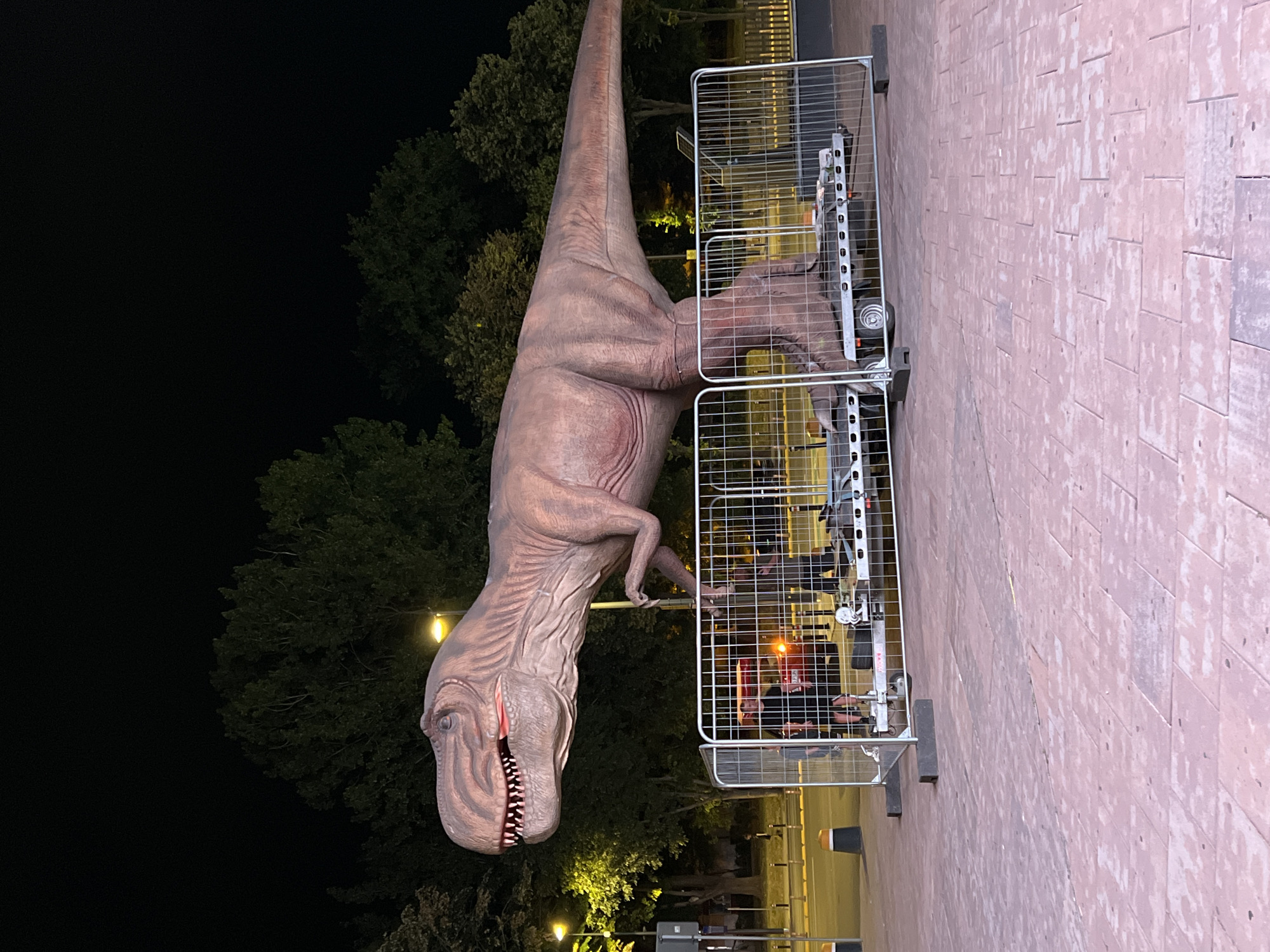 This image depicts a life-sized Tyrannosaurus Rex replica displayed outdoors at night in the city of Constanța, Romania. The dinosaur model, rendered in shades of brown and pink, is positioned on a trailer and surrounded by a metal security fence. In the background, trees are visible, illuminated by streetlights, suggesting an urban park or public space. Two individuals can be seen behind the fence, one standing near the dinosaur and another in the middle ground. The ground is paved with reddish-brown square tiles. The scene suggests a temporary exhibition or event.
