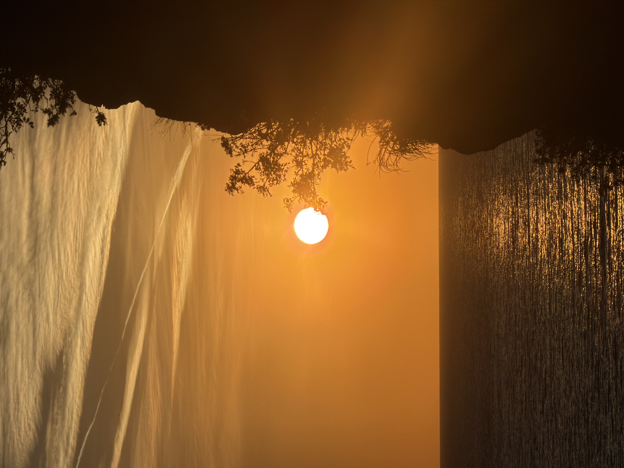 The image captures a dramatic natural scene bathed in the warm, intense glow of either sunrise or sunset. A brilliant, circular sun, appearing almost white at its core, is positioned centrally, emitting a powerful orange and yellow light that dominates the frame.
In the upper section, a dark, rugged silhouette of what appears to be a cliff edge or rock formation stretches across the width. From this shadowy foreground, intricate branches and foliage hang down, adding organic detail to the silhouette.
To the left and right of the sun, vast vertical expanses strongly resemble falling water or the thick mist of a large waterfall. On the left, the water appears softer, characterized by ethereal streaks and flowing textures that shimmer with the golden light. On the right, the water forms more distinct vertical lines, intensely sparkling as it catches the sun's direct rays, creating a sense of dynamic movement and light reflection.
The entire scene is enveloped in a hazy, golden-orange atmosphere, highlighting the interaction between light and water. The strong backlighting creates a sense of depth and emphasizes the silhouettes. The location, Petrovac na Moru, Montenegro, suggests a coastal or mountainous setting, consistent with such a powerful natural spectacle. There is no visible text in the image.