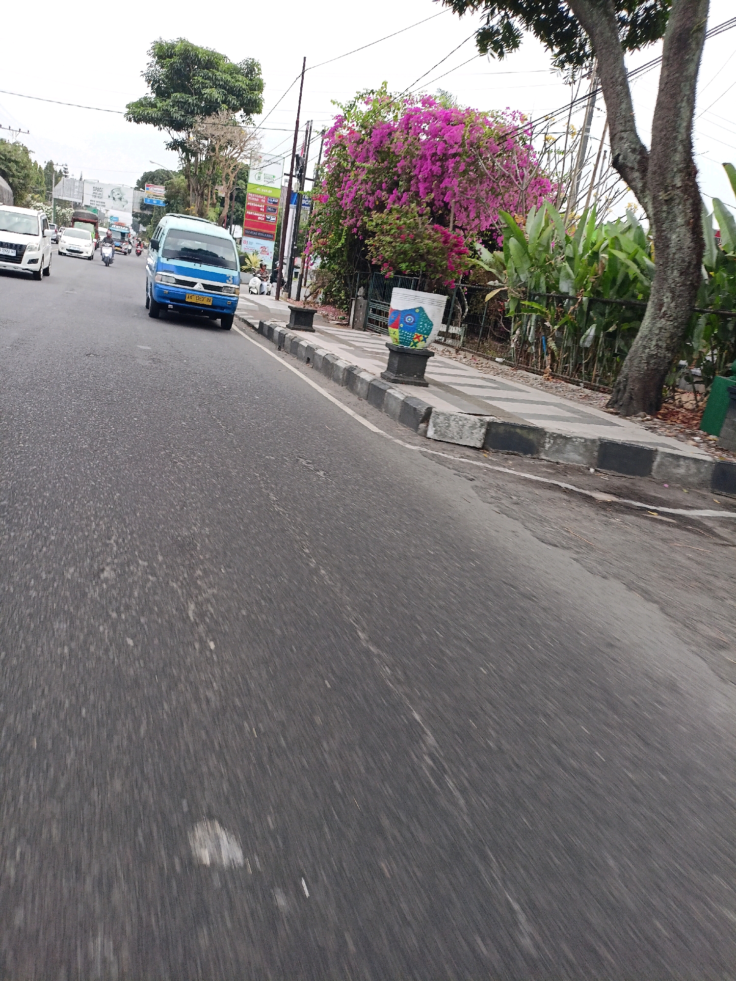 The image captures a street scene in Magelang, Indonesia, likely on a cloudy day. The foreground is dominated by a grey asphalt road with visible texture and some debris. To the left, a white car and several motorcycles are in motion, indicating traffic. A blue minivan is also moving in the same direction. On the right side of the road, a sidewalk with a decorative pattern of grey and white squares is visible, bordered by a concrete curb. A black planter with a colorful fish design sits on the sidewalk. Beyond the sidewalk, a lush green area with large leaves and a tree with dark bark is present. In the background, more trees, including a vibrant cluster of pink bougainvillea, are visible, along with utility poles and street signs. The overall impression is a bustling urban street with elements of nature interspersed.