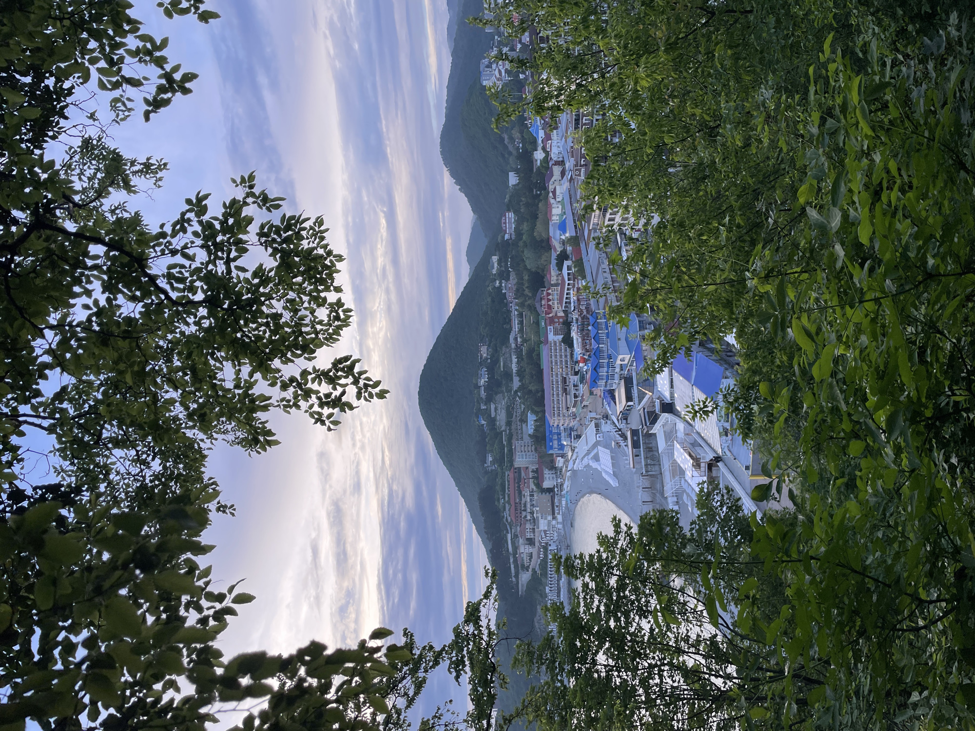 A landscape-style photograph shows the Russian city of Olginka through a foreground framing of green tree foliage. The image is rotated approximately 90 degrees clockwise.
The city is nestled along a coastline, with a mountain rising sharply from the edge of the built-up area. The urban landscape consists of buildings with a variety of colors and architectural styles. A sandy beach stretches along the coast.
The sky above is striated with clouds, creating a dynamic visual effect. The lighting suggests either early morning or late evening. The leaves of the trees are a vibrant green.