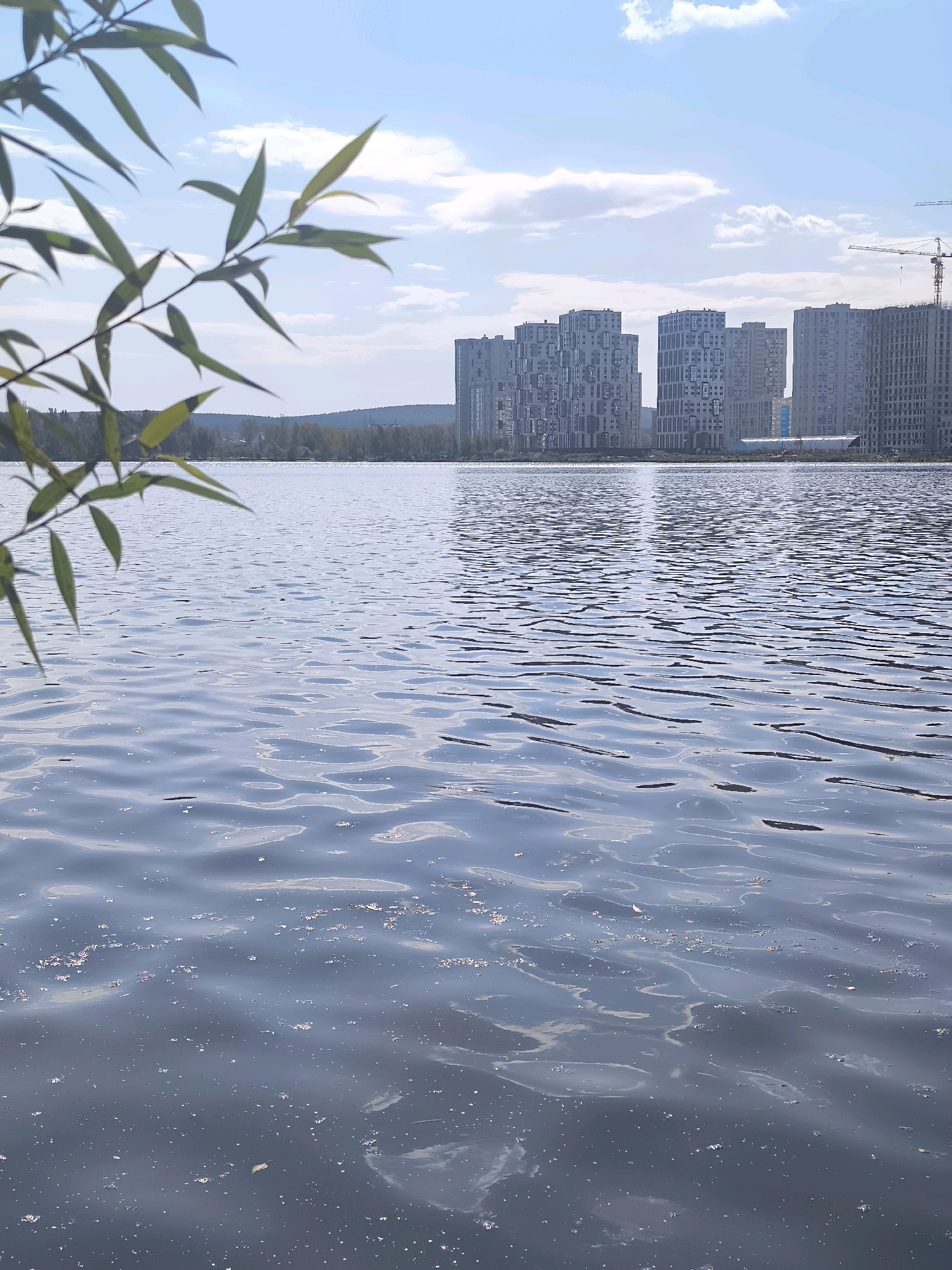 The image depicts a body of water, likely a lake or reservoir, with rippling surfaces reflecting the sky and clouds. In the background, a dense cluster of modern apartment buildings, characterized by their uniform grey facades and varied window patterns, rises against a hazy horizon. A construction crane is visible to the right of the buildings, indicating ongoing development. A line of trees forms a natural border between the water and the urban landscape. In the foreground, on the left side of the frame, the blurred branches and green leaves of a tree extend into the image, partially obscuring the view. The overall scene suggests an urban waterfront area, potentially in Yekaterinburg, Russia, where residential development is encroaching on natural landscapes.