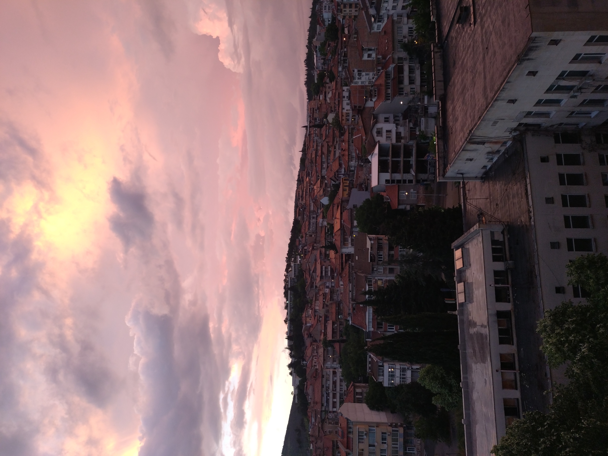 The image depicts a cityscape at sunset in Stara Zagora, Bulgaria. The sky is filled with pink and grey clouds, indicating the time of day. The city is densely packed with buildings, predominantly low-rise structures with red-tiled roofs. A few taller buildings are visible on the right side of the frame, appearing older and possibly concrete. Vegetation is interspersed throughout the urban area, especially trees growing between the buildings. No people are visible.